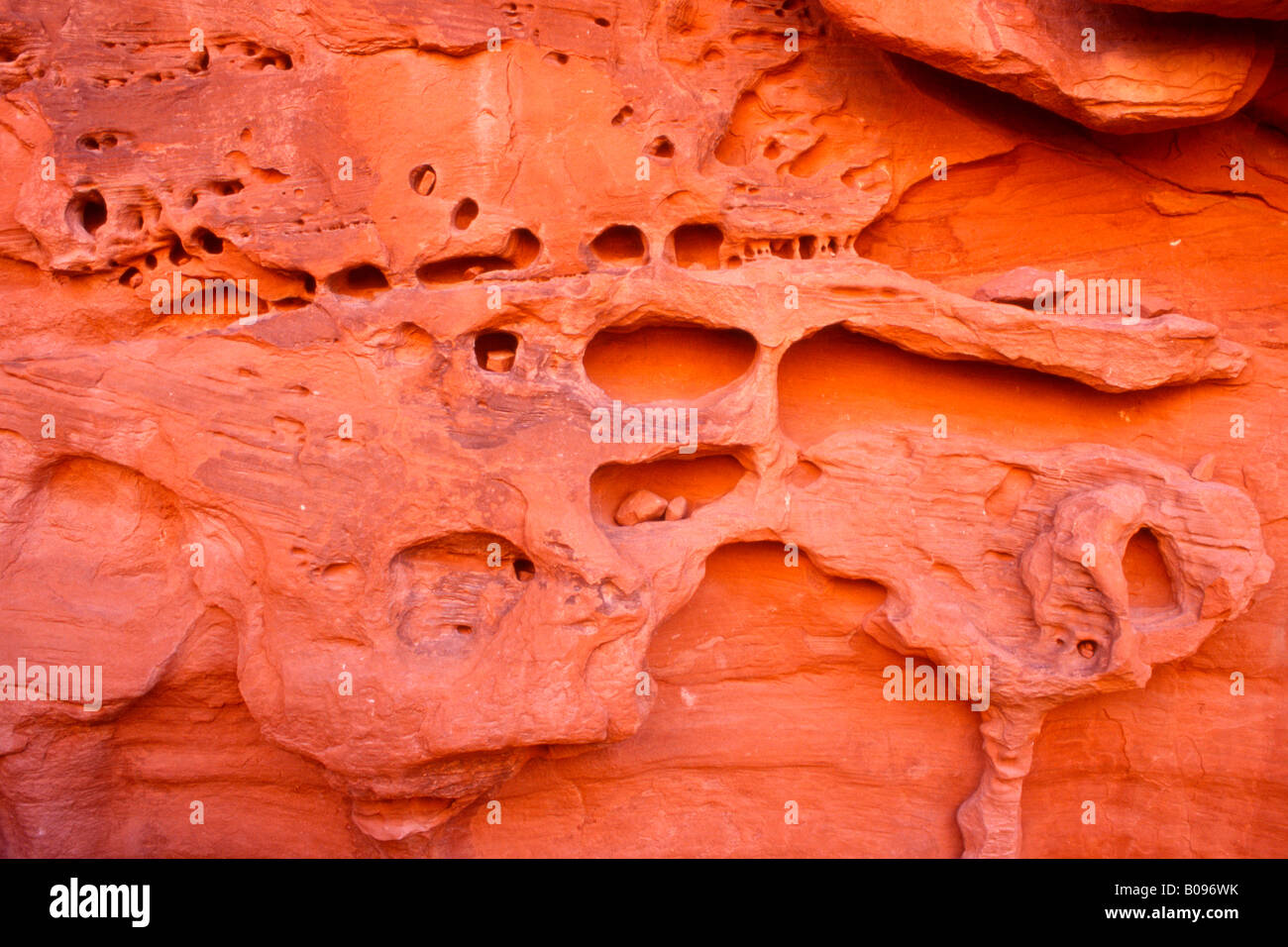 Giardino del Diavolo, Arches National Park, Utah, Stati Uniti d'America Foto Stock
