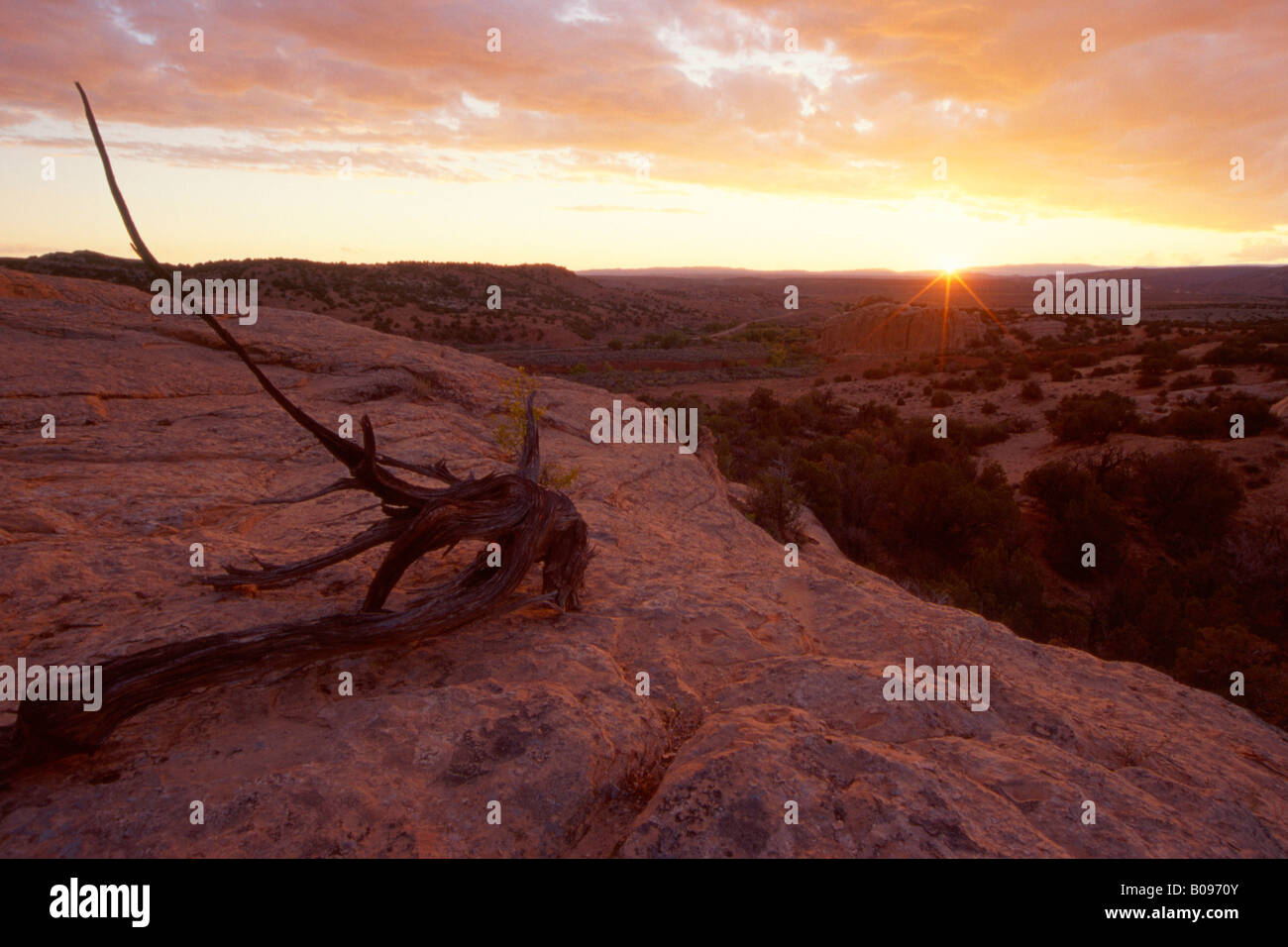 Bassa sun su Dinosaur National Monument, Utah, Stati Uniti d'America Foto Stock