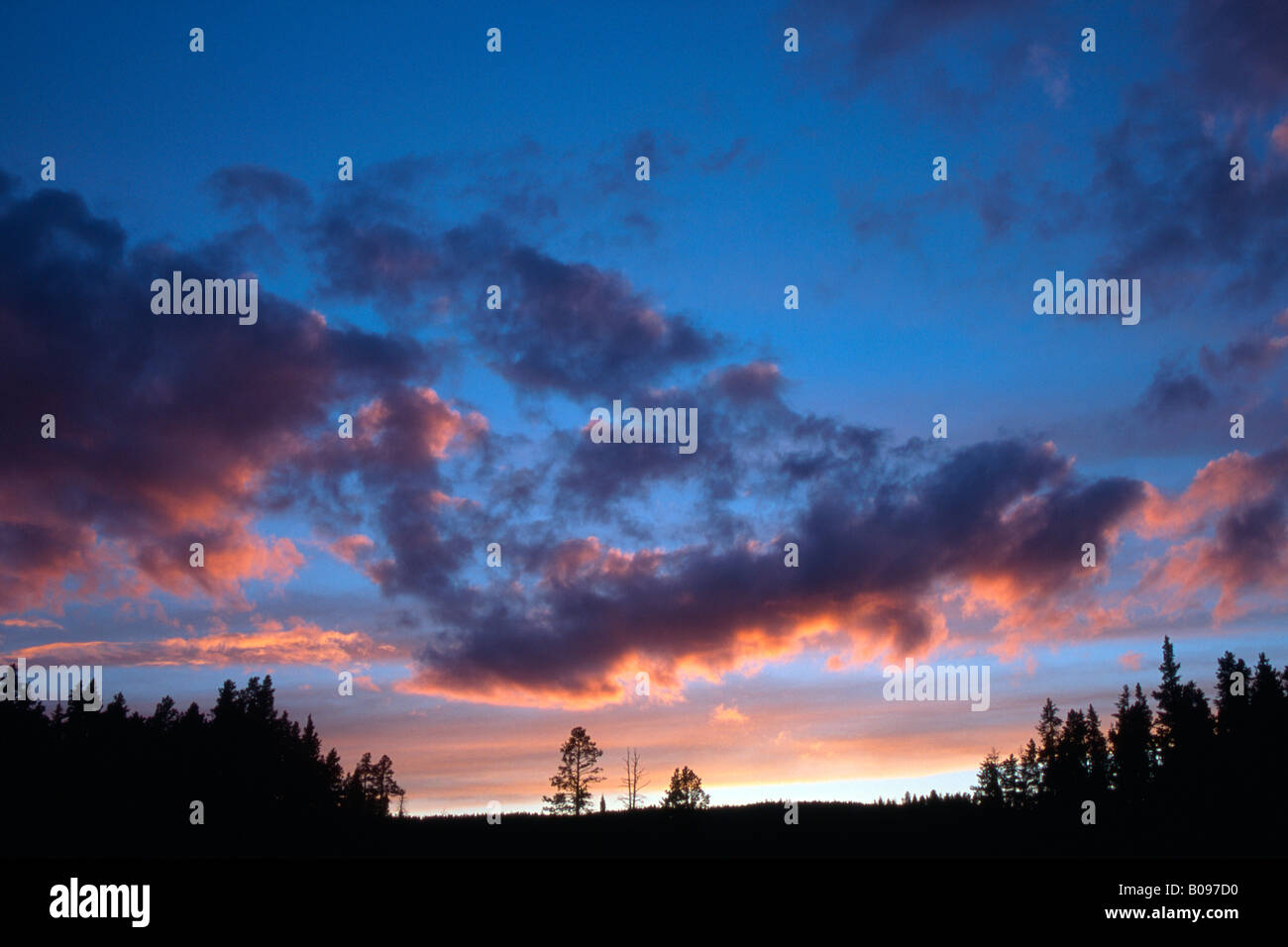 Drammatica nuvole al tramonto su alberi di pino e di foreste, Tirolo, Austria Foto Stock
