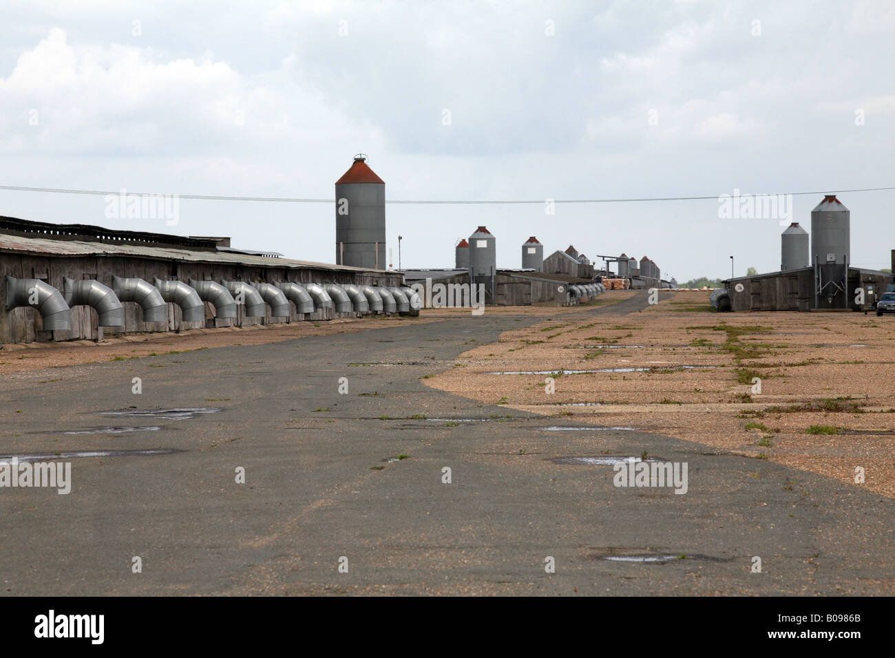 Vista generale di Bernard Matthews turchia fattoria costruita sul primo tempo di guerra delle piste di RAF Halesworth in Suffolk Foto Stock