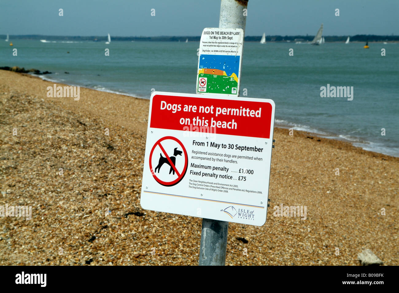 No cani sulla spiaggia segno a Cowes Isle of Wight England Regno Unito nota penalità Cowes Isola di Wight in Inghilterra Foto Stock