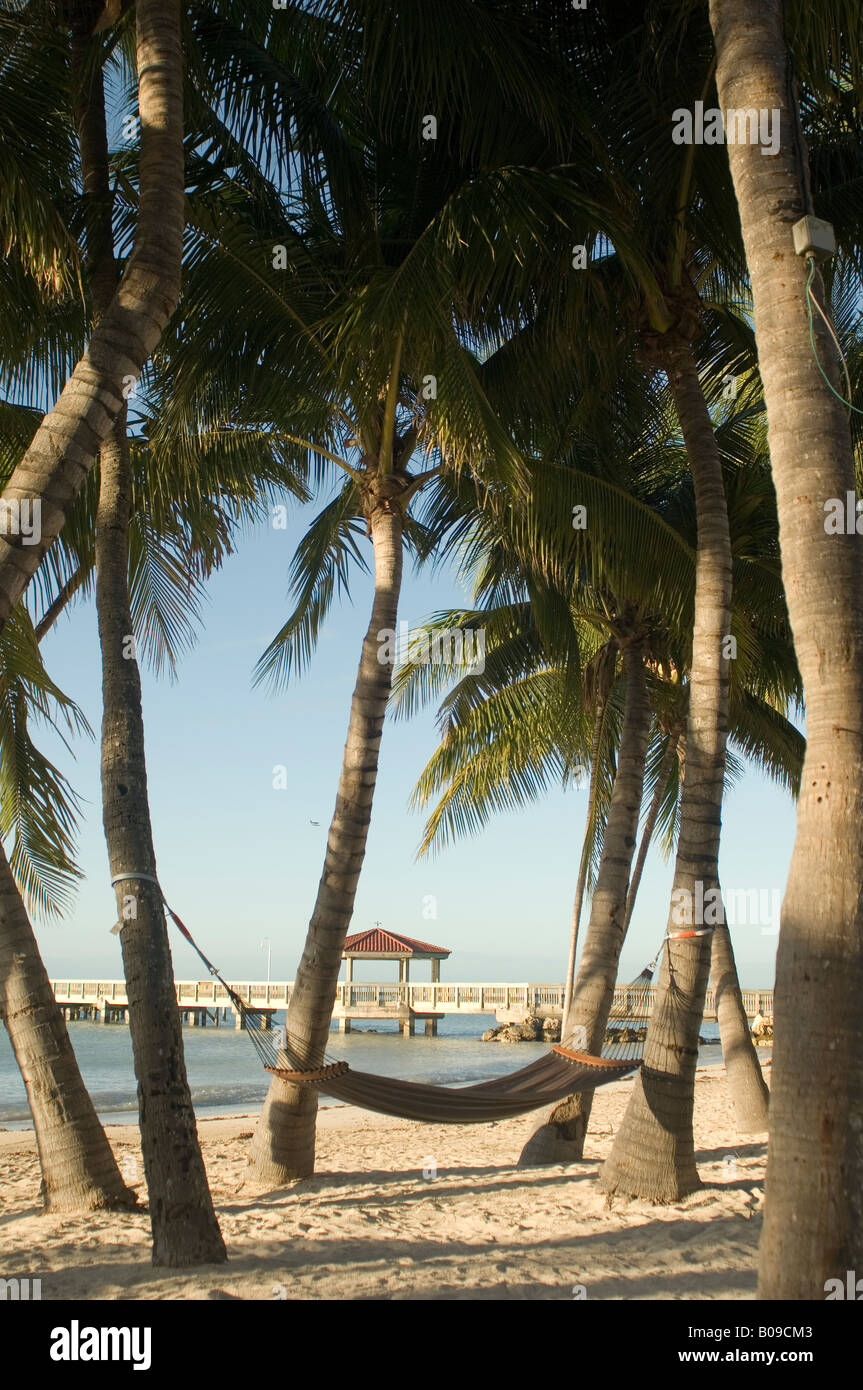 Una immagine rilassante di un'amaca su una spiaggia tropicale. Foto Stock