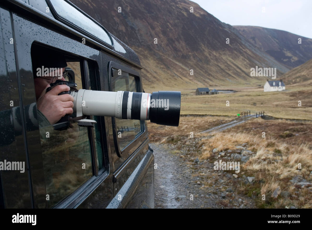 Valutazione di fotografare la fauna selvatica, Alladale station wagon, Sutherland, Scozia Foto Stock