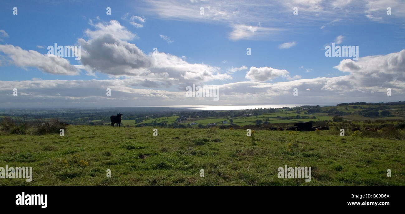 Lough Neagh Antrim Irlanda del Nord Foto Stock