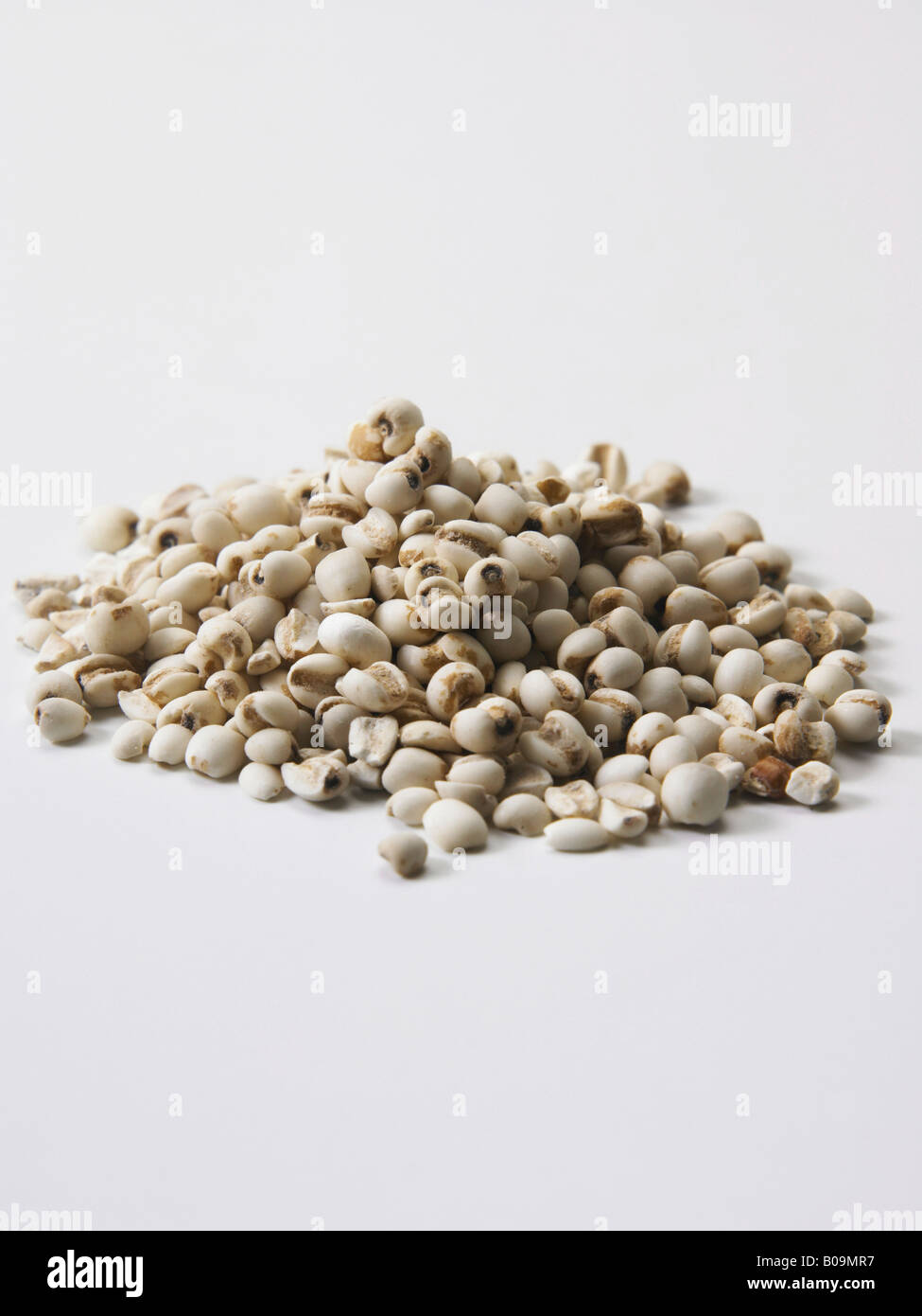 Pila di ingredienti naturali, orzo Foto Stock
