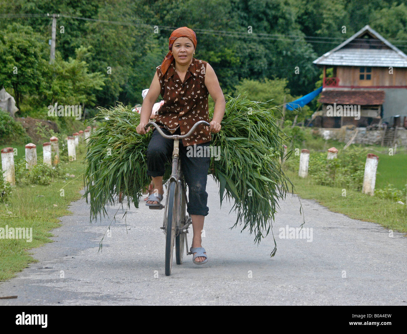 Hard working woman in Vietnam in sella a una moto Foto Stock