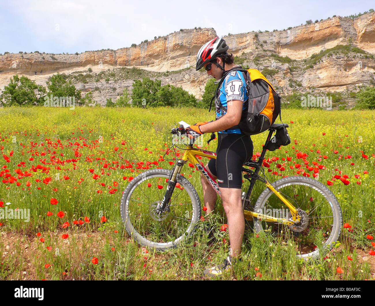 Biker guardando una mappa Mont Rebei canyon Lerida Pirenei Catalogna Spagna Foto Stock