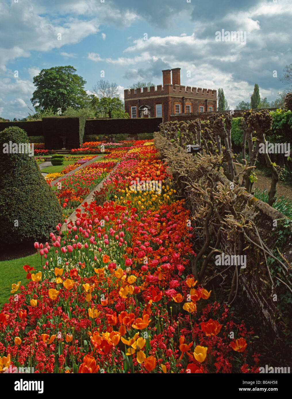 Hampton Court Palace Gardens, Surrey, Regno Unito. Foto Stock