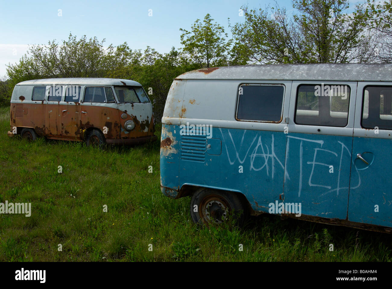 Volkswagen van nel cimitero del Foto Stock