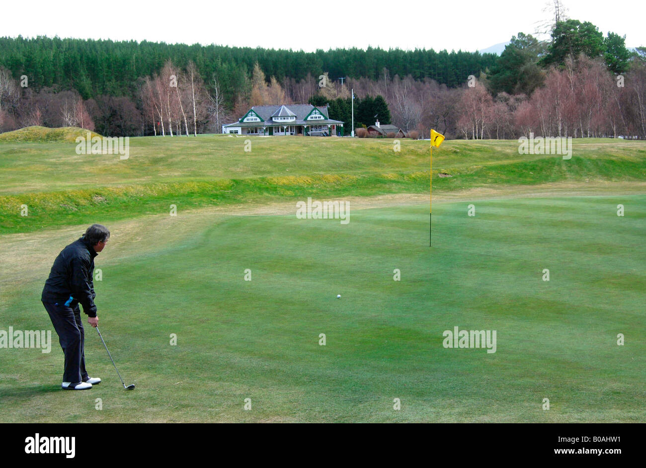 Inverno verdi a Kingussie Campo da golf, Scozia Foto Stock