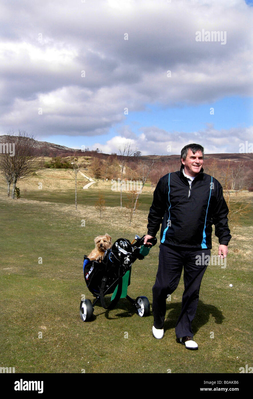 Giocatore di golf con il cane di equitazione a caddie carrello Foto Stock