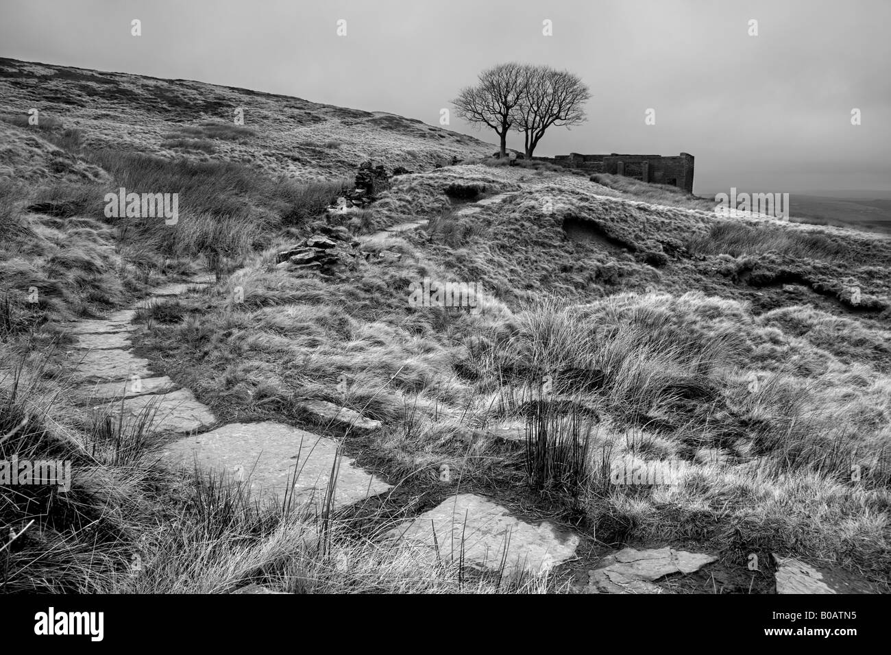 Il sentiero in alto Withens, vicino Haworth. Top Withens è pensato di avere ispirato Emily Brontes Wuthering Heights romanzo. Foto Stock