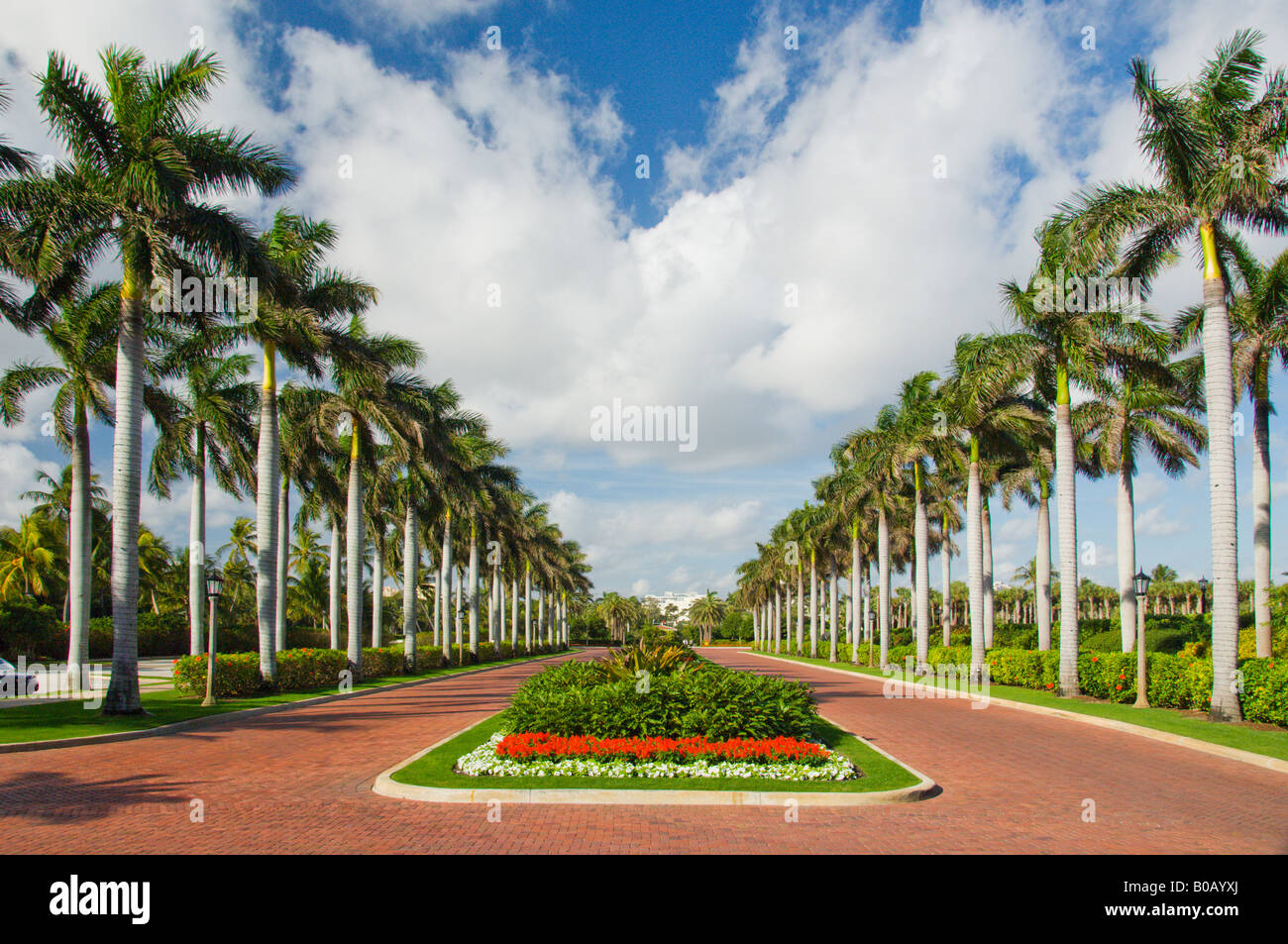 Fiancheggiata da palme approccio al Breakers hotel in Palm Beach Florida USA Foto Stock