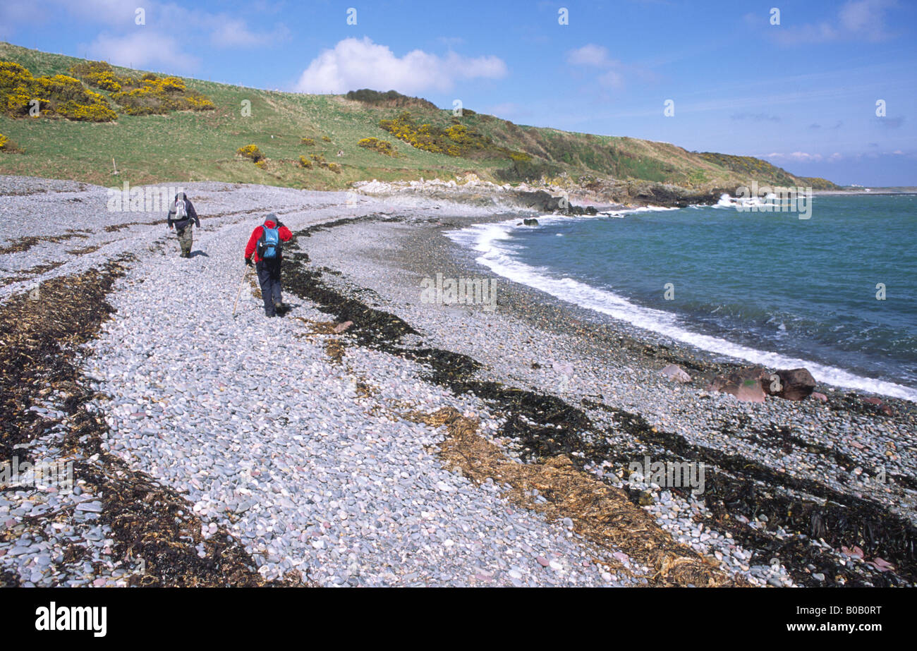 Passeggiate con il promontorio di Galloway, gli escursionisti a piedi lungo Portankill spiaggia sassosa Luce Bay sul Rhins di Galloway coast Scotland Regno Unito Foto Stock