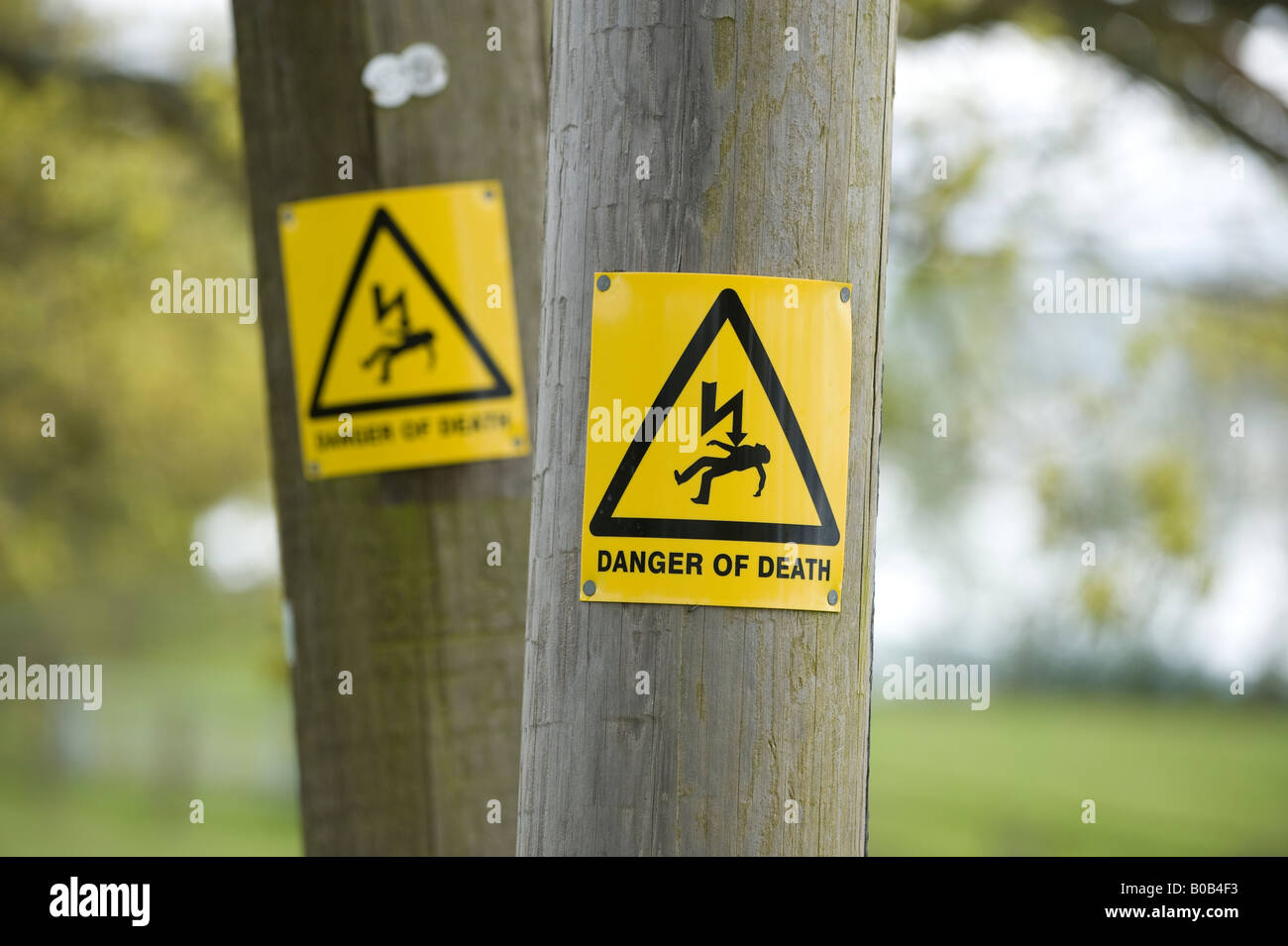 Segni di "pericolo di morte" su due poli elettrici adiacenti nel Sussex rurale. Foto di Jim Holden. Foto Stock