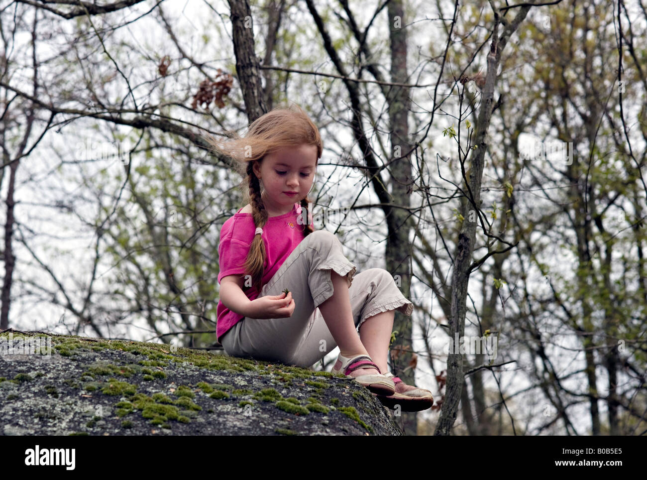 CAROLINA DEL SUD York una giovane e bella ragazza siede su un muschio coperto rock nella foresta guardando le cialde di sementi Foto Stock