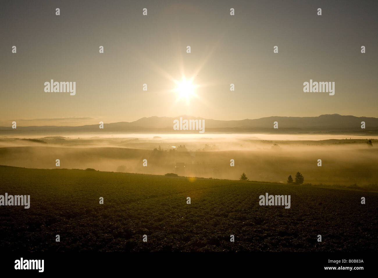 Misty collina al mattino Foto Stock
