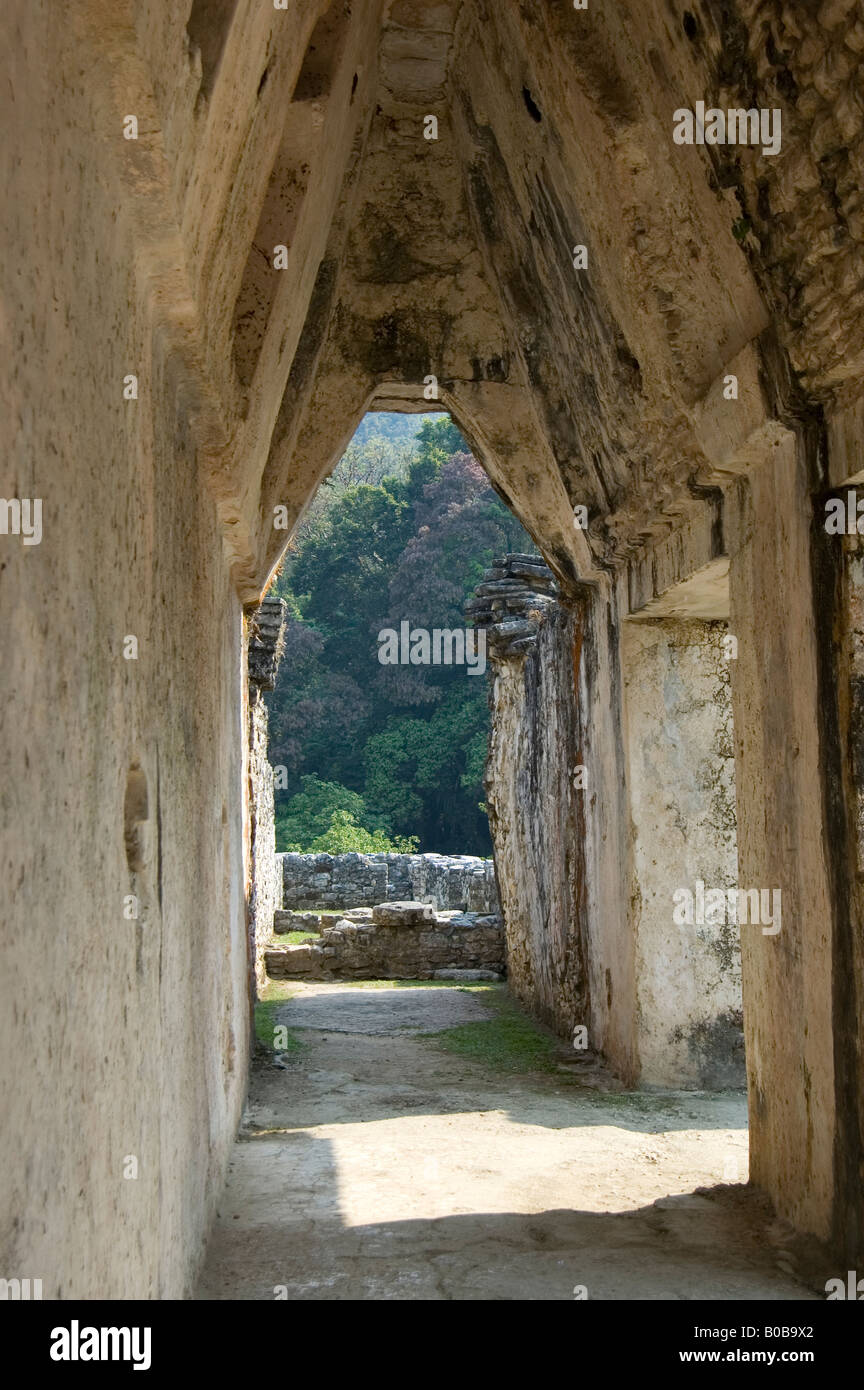 Dettaglio castello di Pakal nella città di Palenque, Chiapas Foto Stock