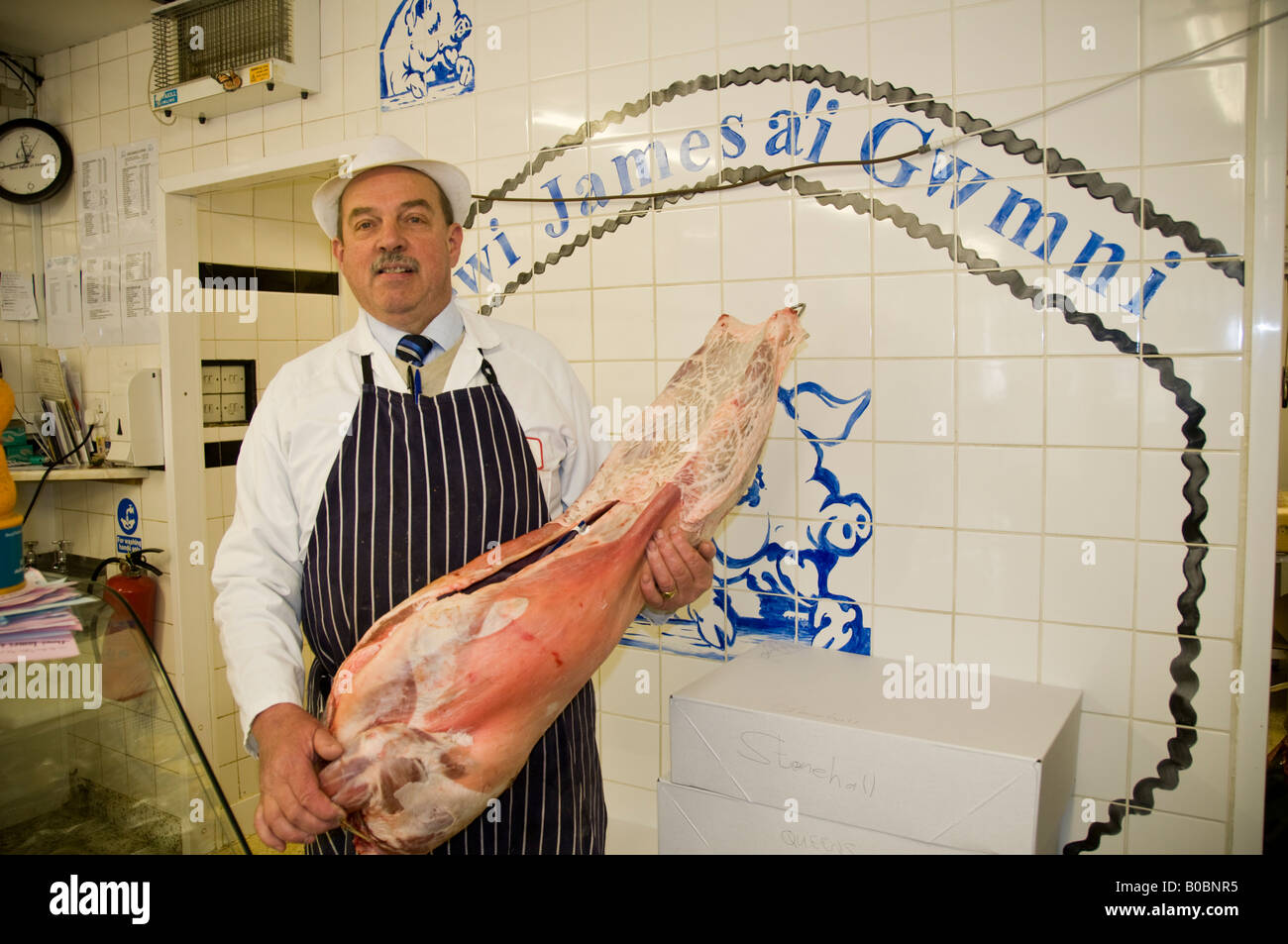 Dewi James butcher Cardigan Galles tenendo un agnello intero, la carcassa nelle sue mani Foto Stock