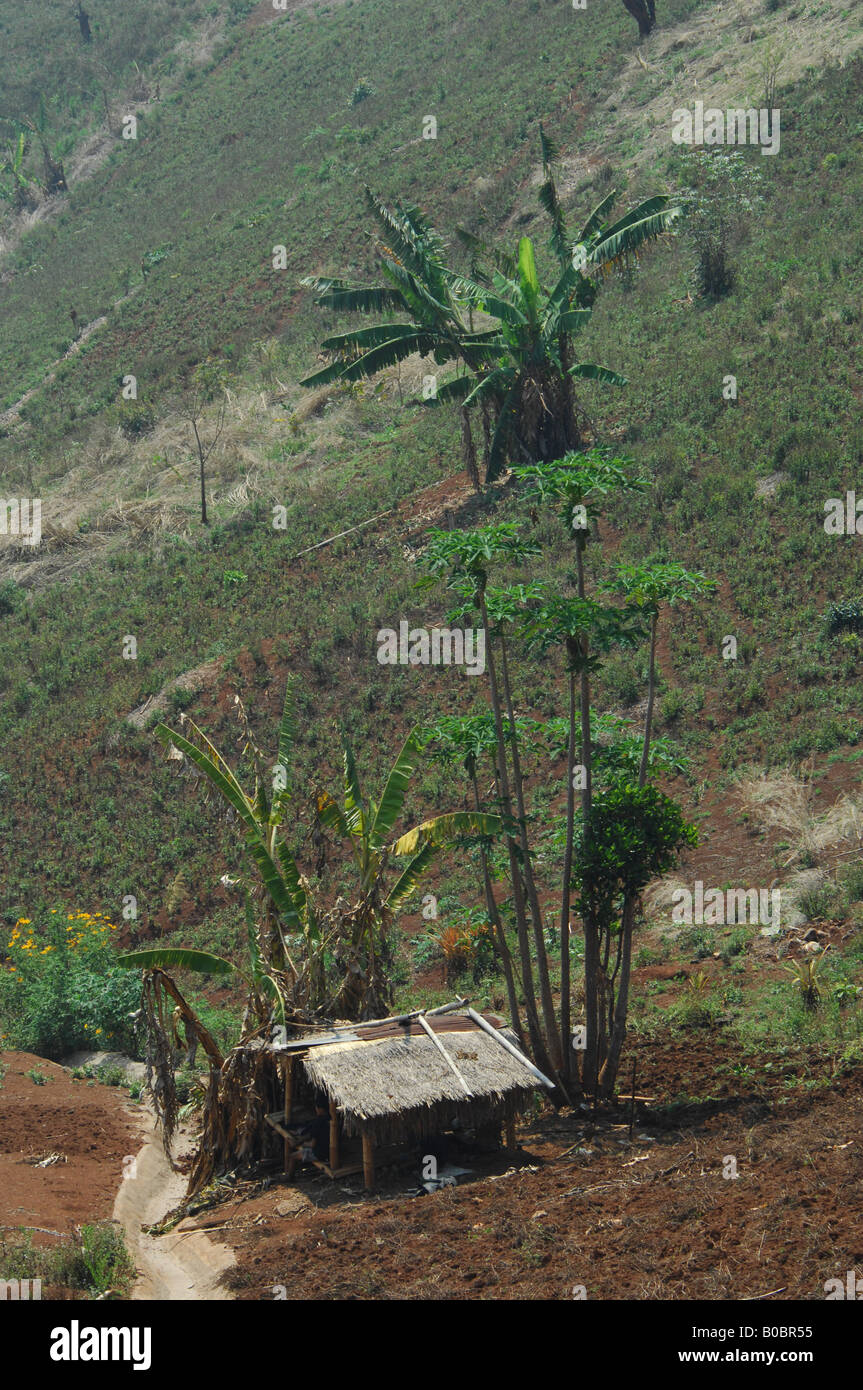 Hill tribe village Ban Huay Mae Hong Son Provincia Nord della Thailandia Foto Stock