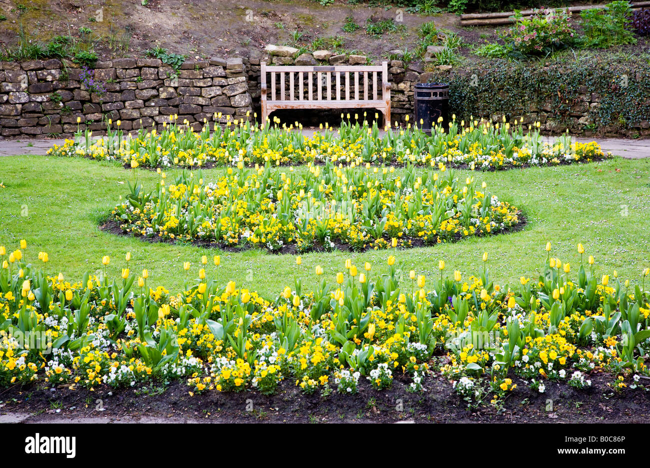 Molla di formale aiuole di fiori di tulipani gialli e pansies nella città dei giardini, Swindon, Wiltshire, Inghilterra, Regno Unito Foto Stock