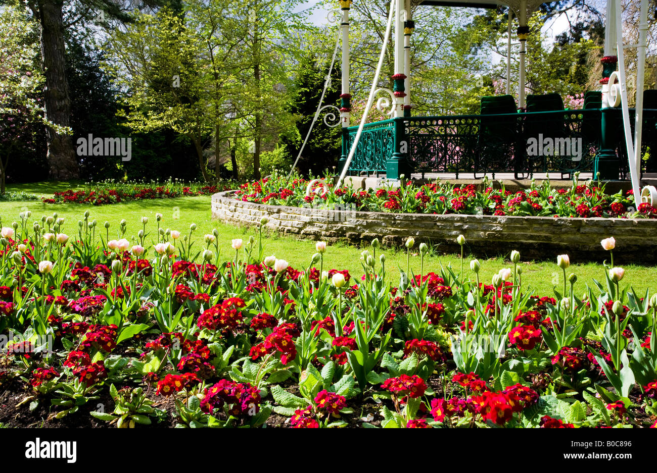 La molla aiuole di fiori di tulipani e primulas rossa nella parte anteriore del Vittoriano bandstand presso la cittadina di giardini, Swindon, Wiltshire, Regno Unito Foto Stock