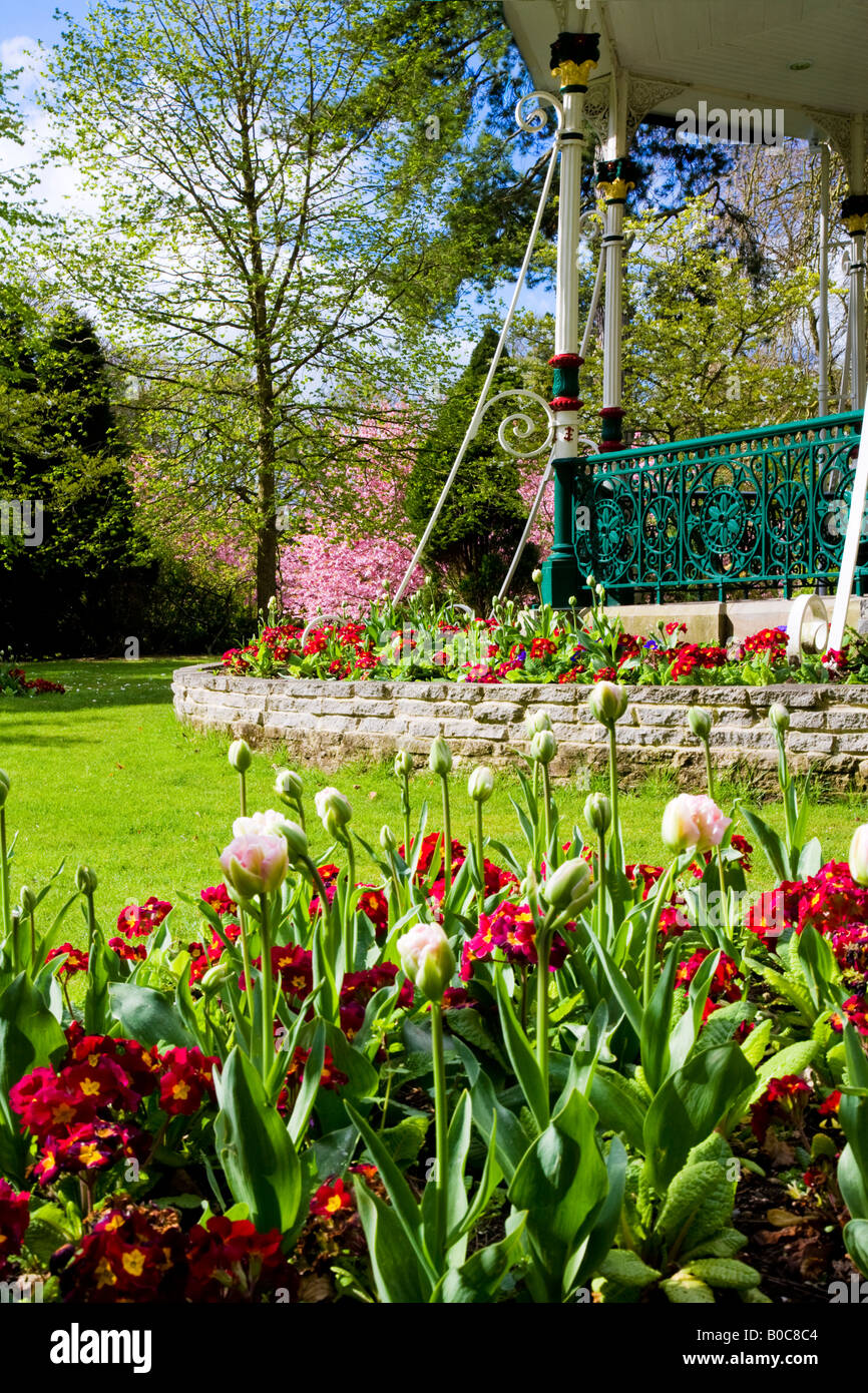 La molla aiuole di fiori di tulipani e primulas rossa nella parte anteriore del Vittoriano bandstand presso la cittadina di giardini, Swindon, Wiltshire, Regno Unito Foto Stock