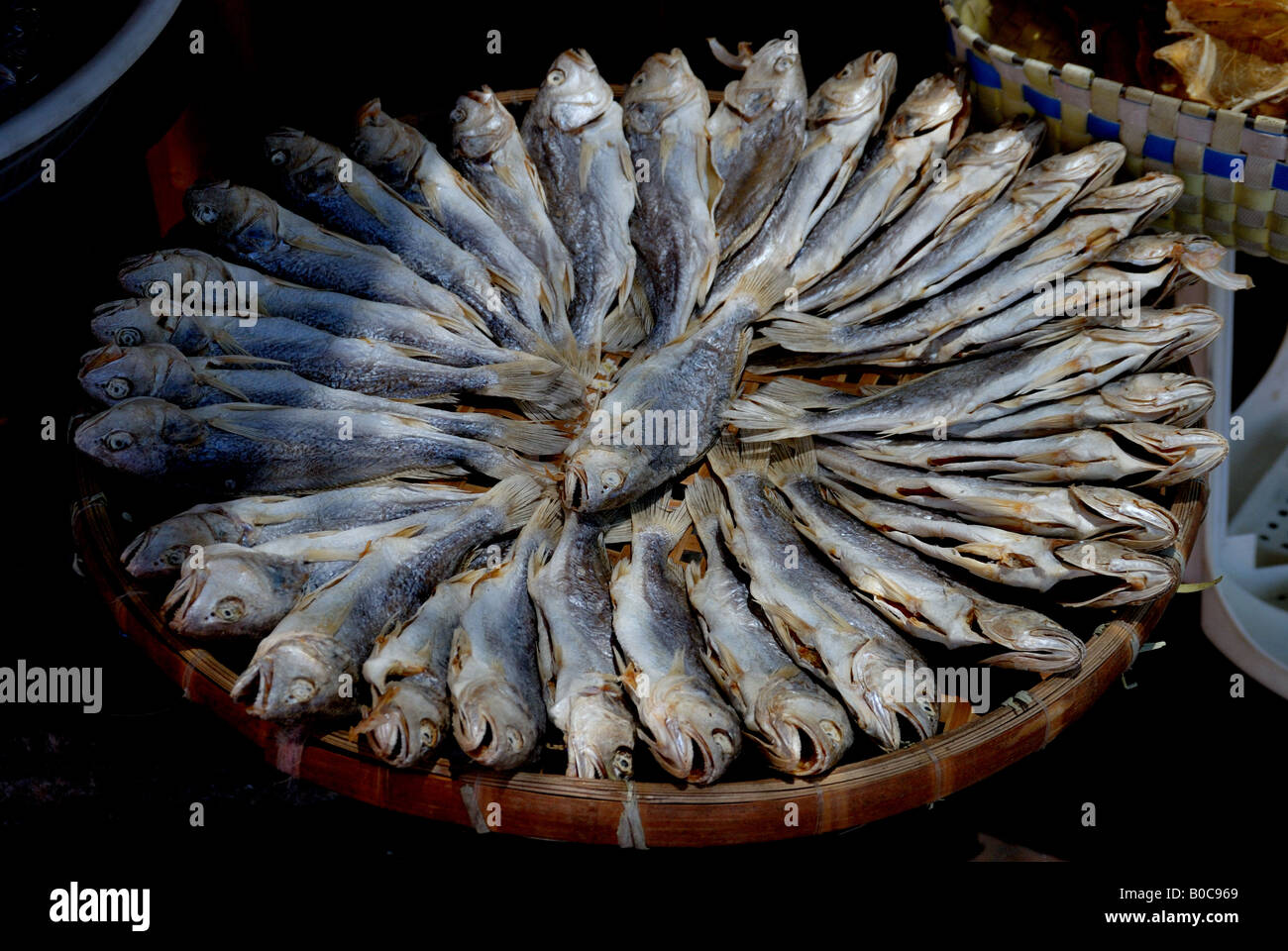 Kipper，un aringa o di salmone che è stato sdoppiato, salato e affumicato. Foto Stock