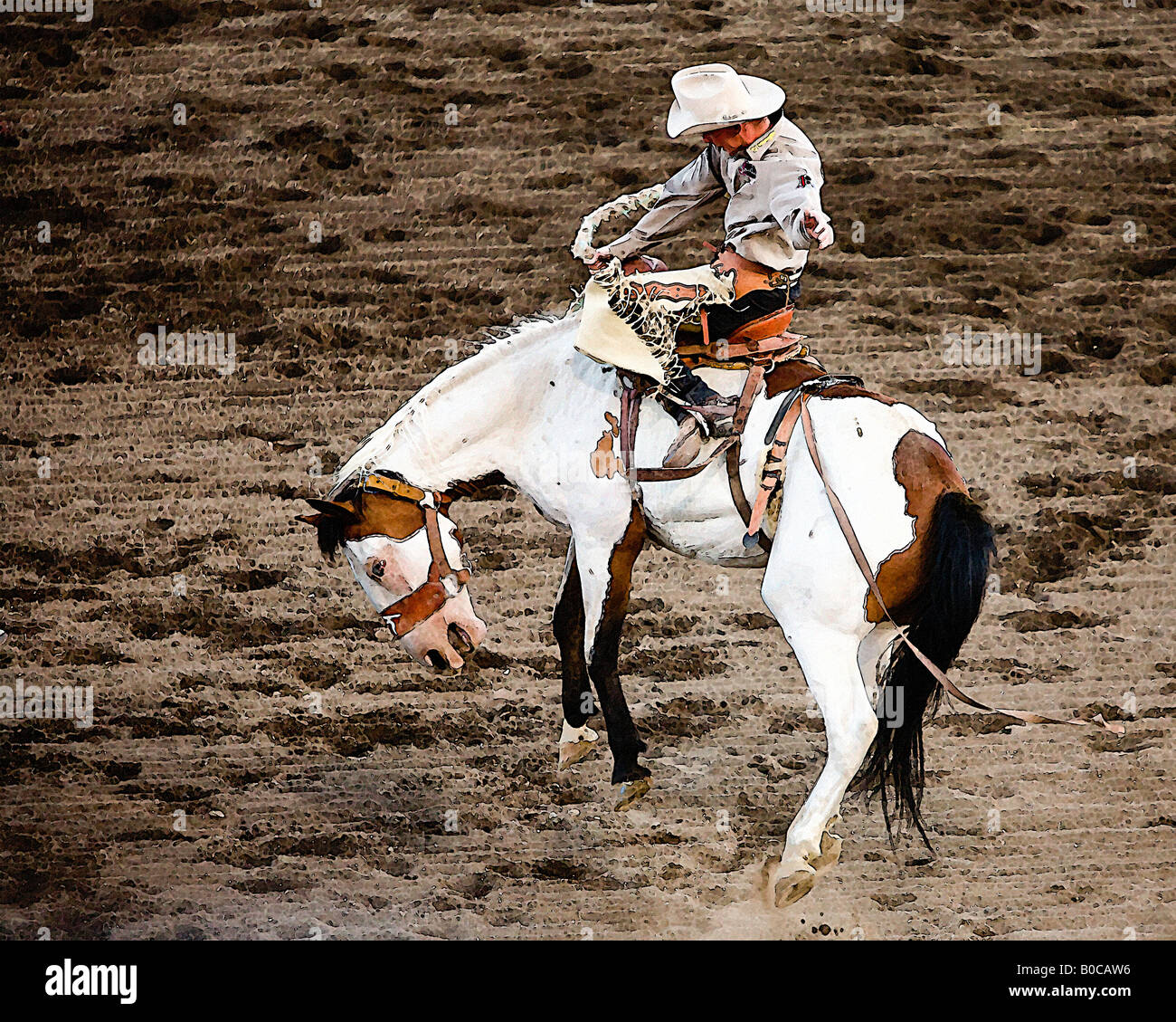 Immagine di un uomo a cavallo di un strappi bronc cavallo a Cody Wyoming Rodeo il cavallo è a metà in aria tutti e quattro i piedi da terra Foto Stock