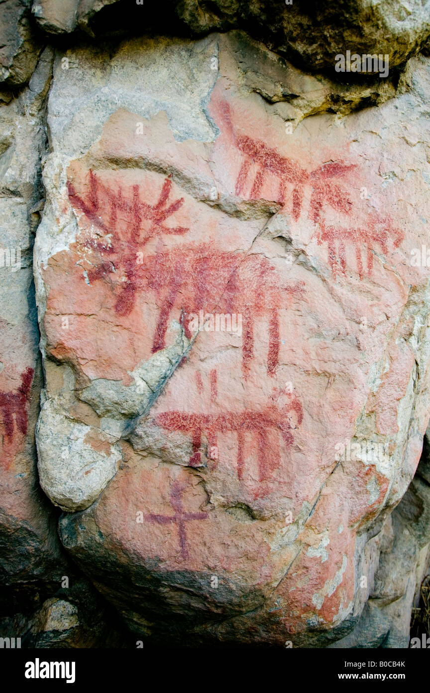 Pittogrammi a sinistra lungo il torrente Stoddard, sul medio forcella del fiume di salmoni Foto Stock