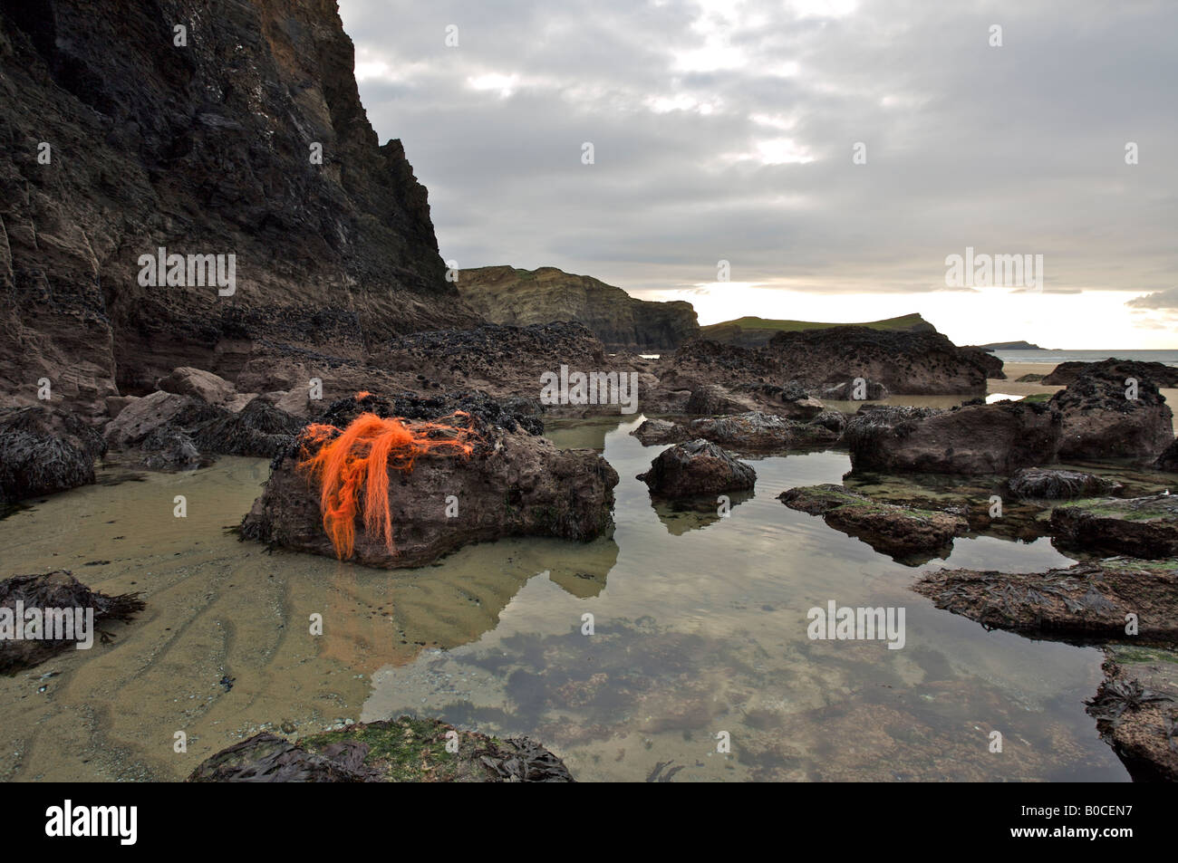Flotsam (arancione in nylon linea di pesca o net) catturati su roccia, a nord della costa della Cornovaglia, Inghilterra Foto Stock