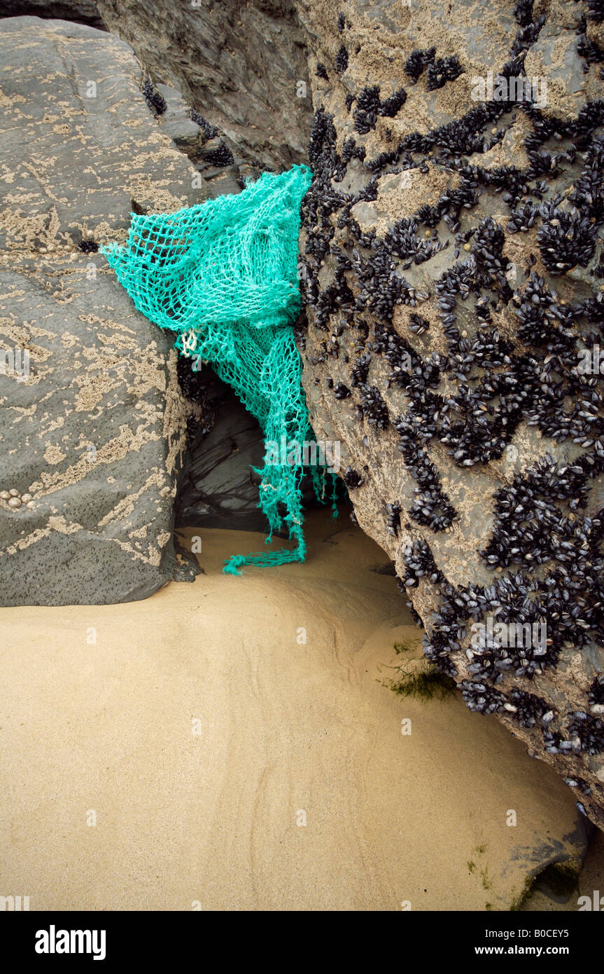 Flotsam (pezzo di rete da pesca o granchio net) catturati sulle rocce, costa nord della Cornovaglia, Inghilterra Foto Stock