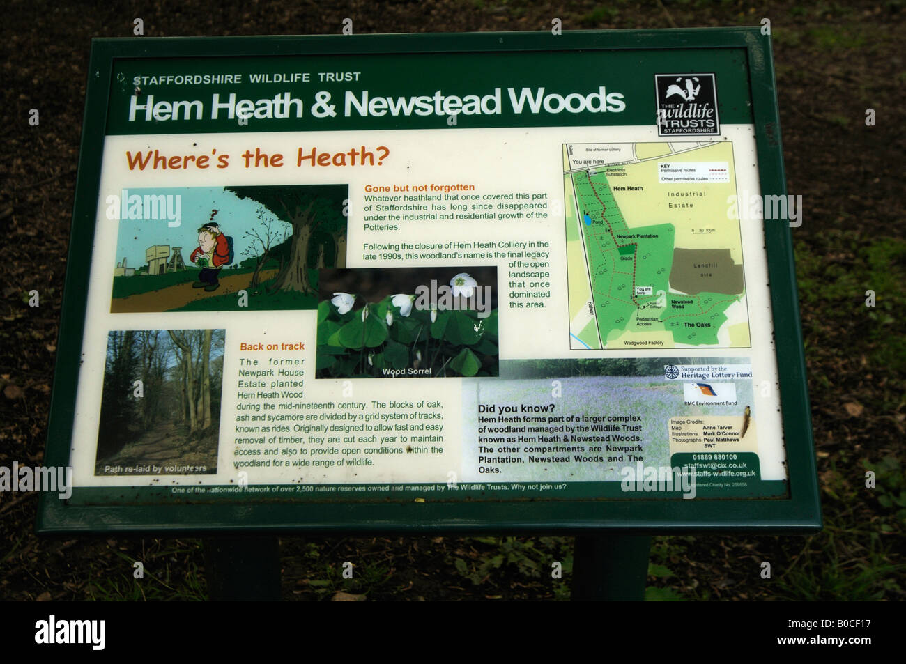Hem Heath e Newstead Woods - Staffordshire Wildlife Trust Foto Stock