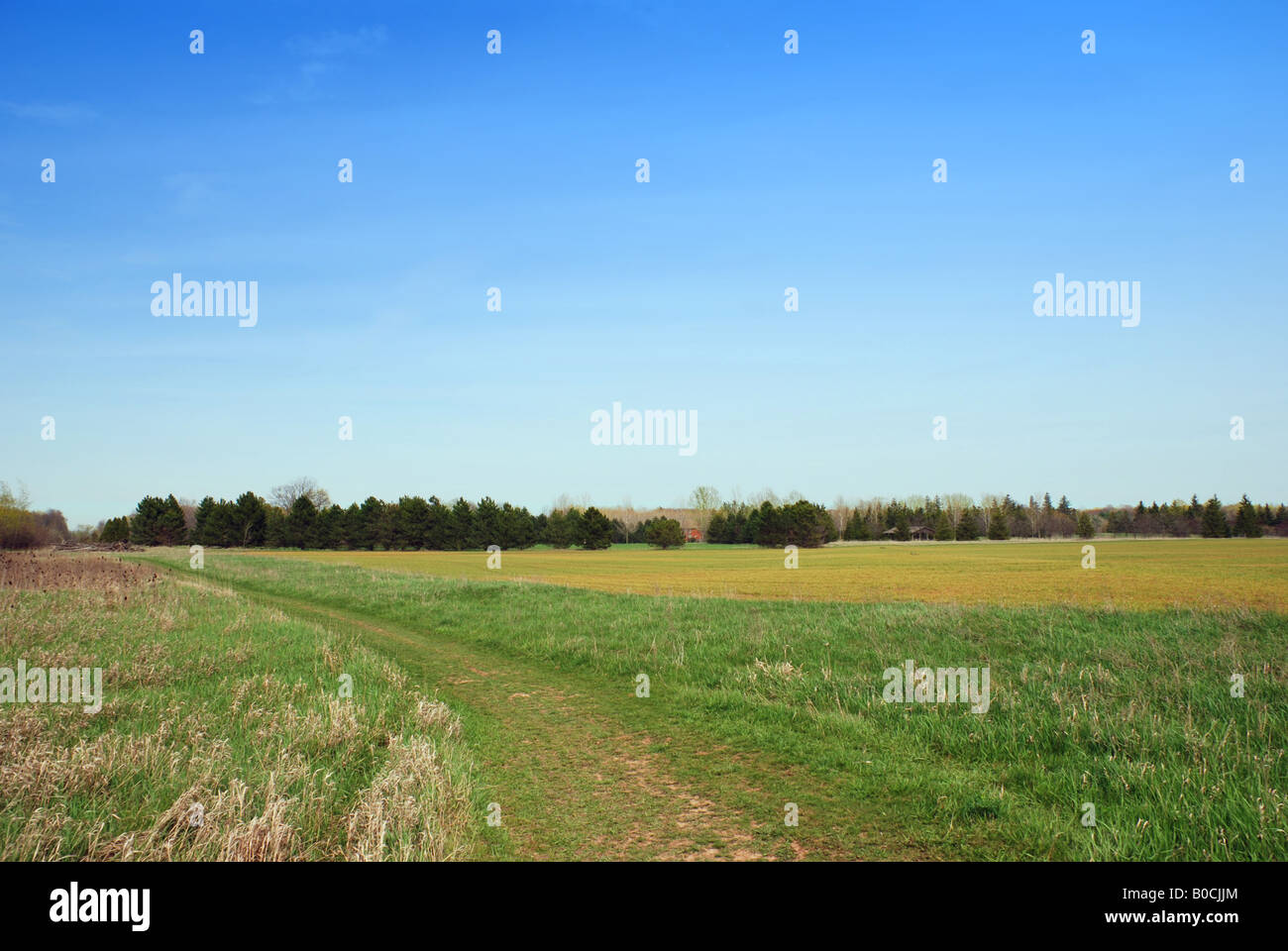 Paesaggio estivo Foto Stock