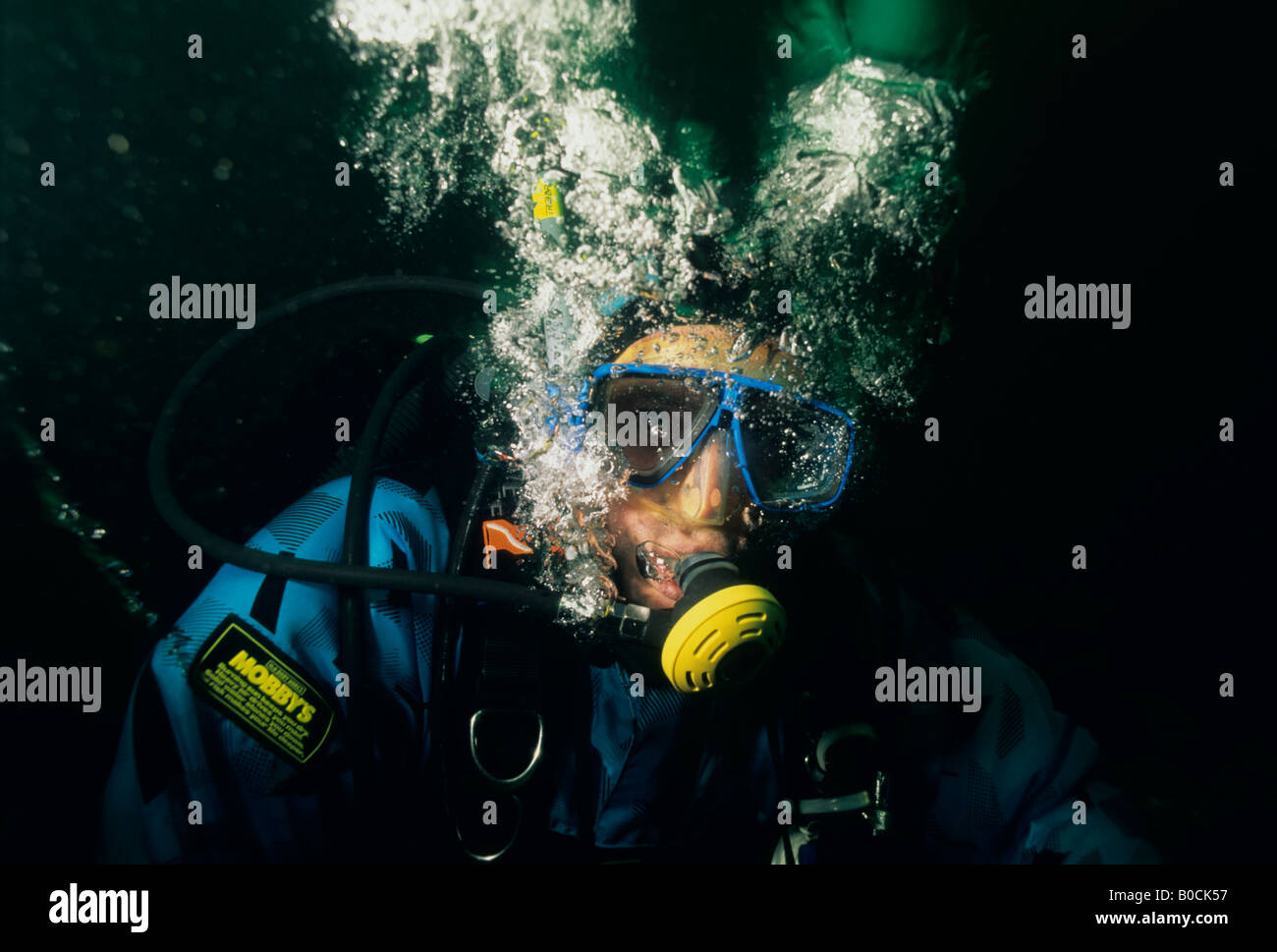 Diver sotto l'acqua, Svezia Foto Stock