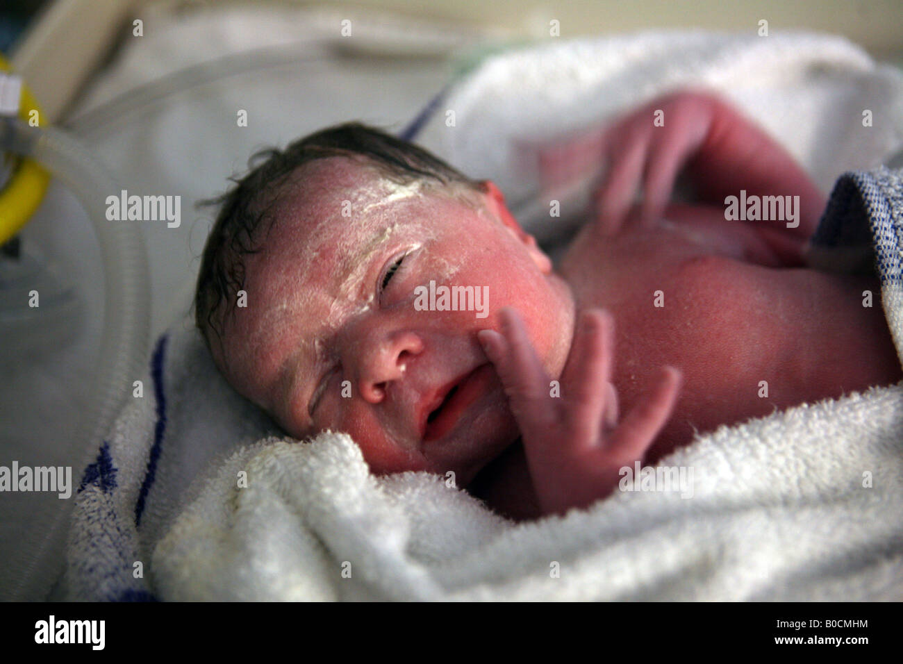 Pic da Paolo Grover Pic mostra un neonato ragazza Foto Stock