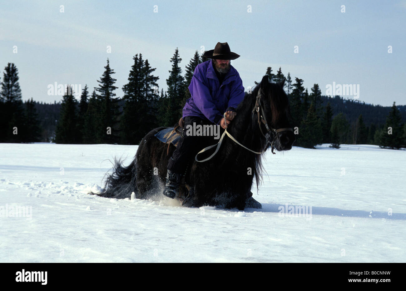 Gol passeggiate a cavallo nella neve Foto Stock