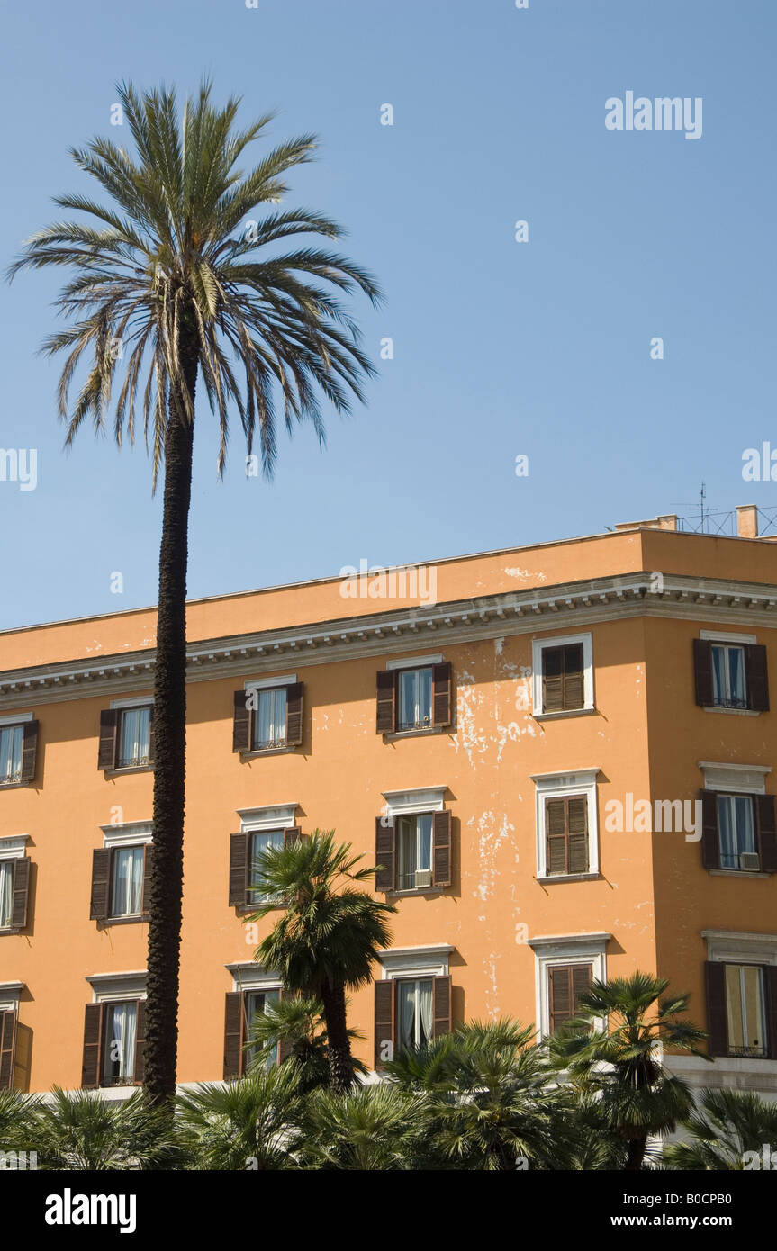 Sbiadita edificio con sfald vernice - Palm tree in primo piano Roma Italia Foto Stock