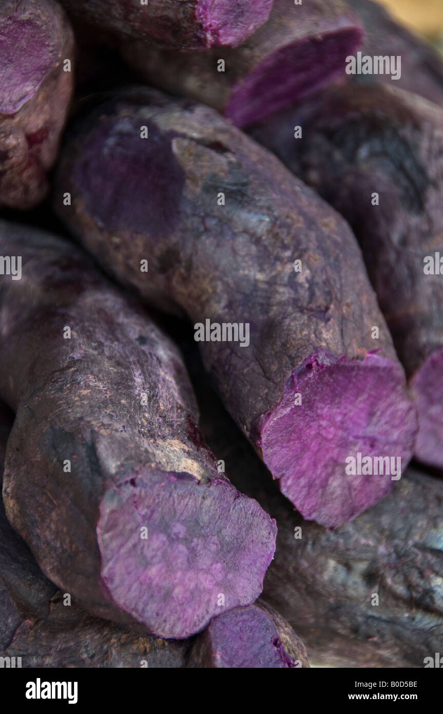 Viola cotto patata dolce, in vendita su angolo di strada a Puebla, in Messico. Estremità affettata in modo è possibile vedere il colore all'interno. Foto Stock