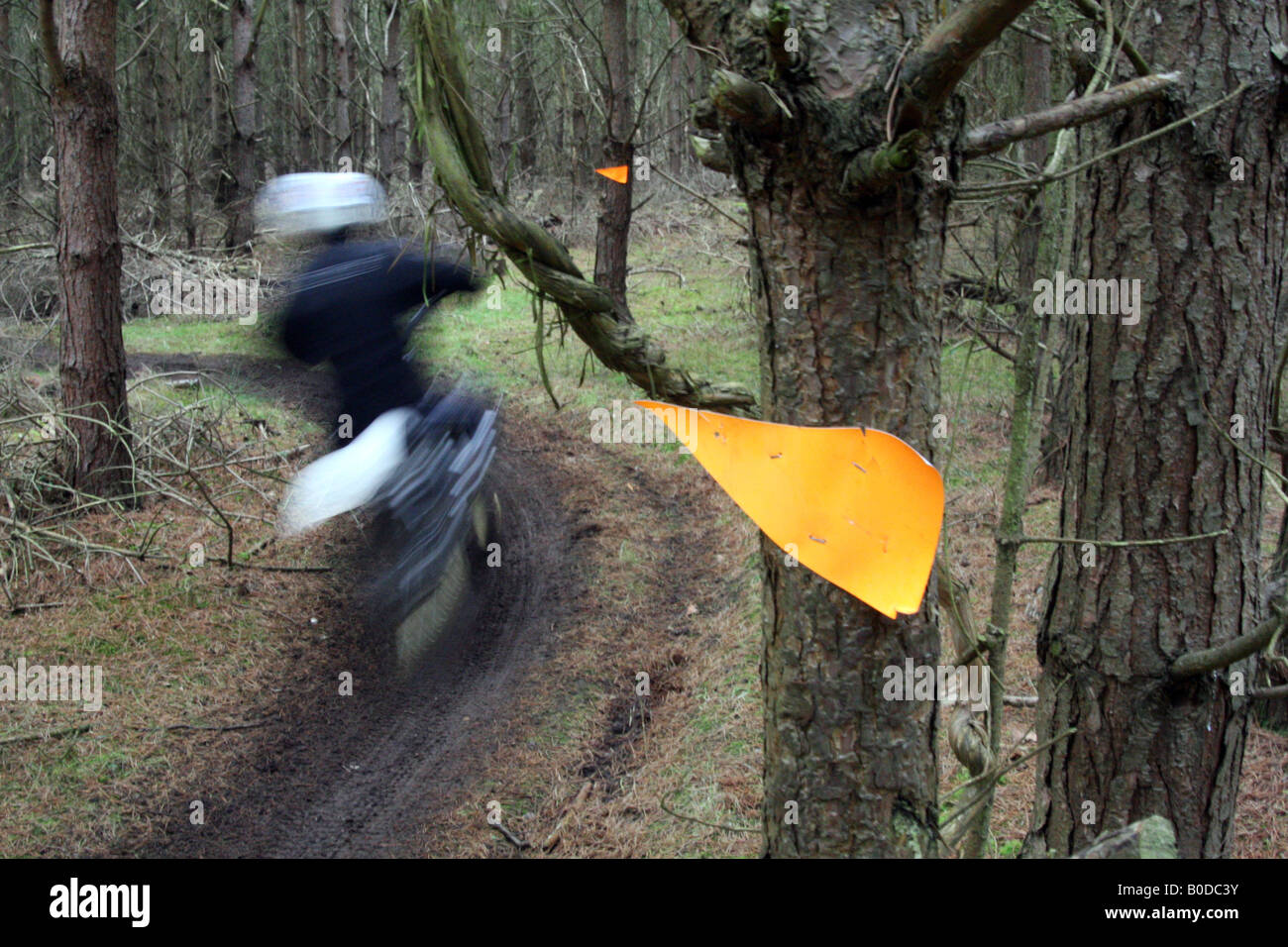 Motociclo sfocata triallist viaggiando tra le sezioni su un sentiero di bosco contrassegnati da frecce arancioni Foto Stock