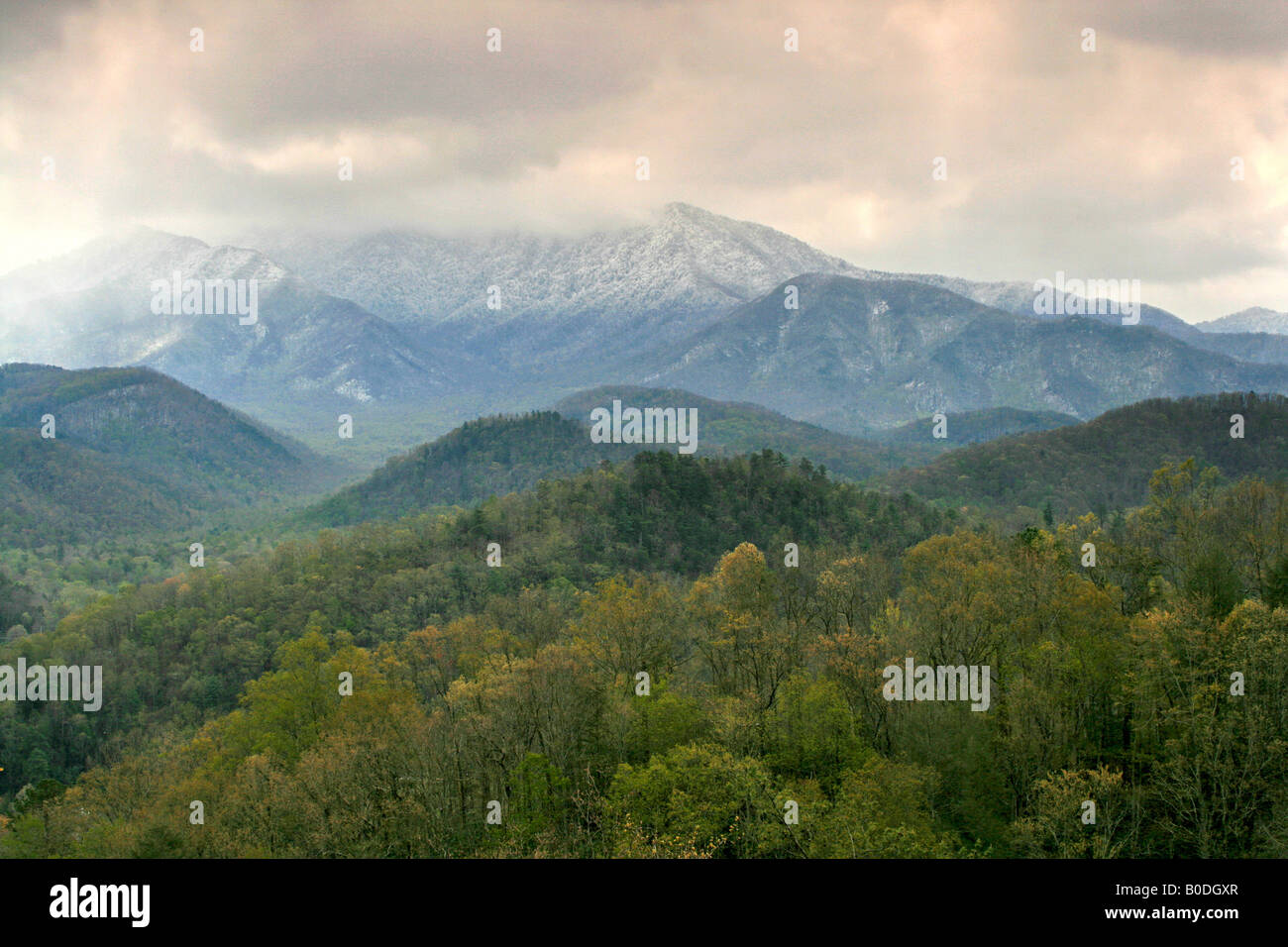 Tempesta di neve di primavera vicino a Gatlinburg Tennessee in Great Smoky Mountains National Parks Foto Stock