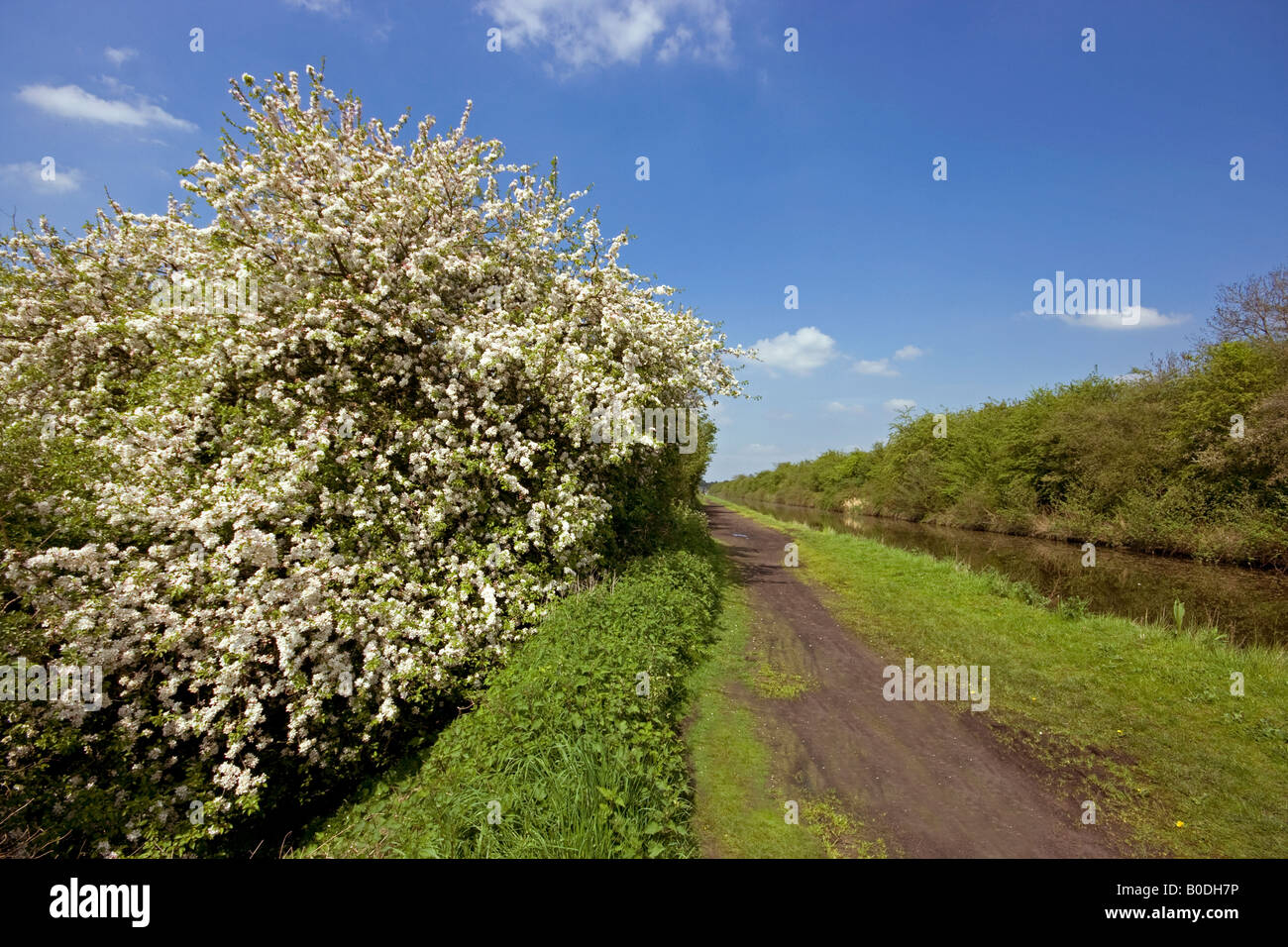 Rushall Canal, Walsall, West Midlands Foto Stock