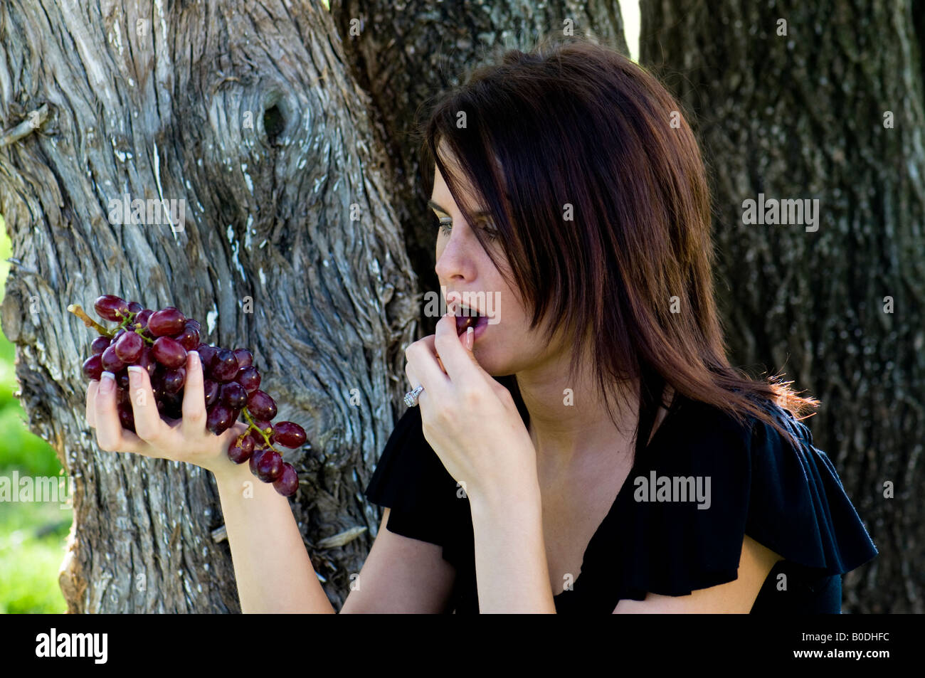 Una giovane e bella donna seduta da alberi all'esterno contiene un grappolo di uva in una mano e mangia uno. Oklahoma, Stati Uniti d'America. Foto Stock