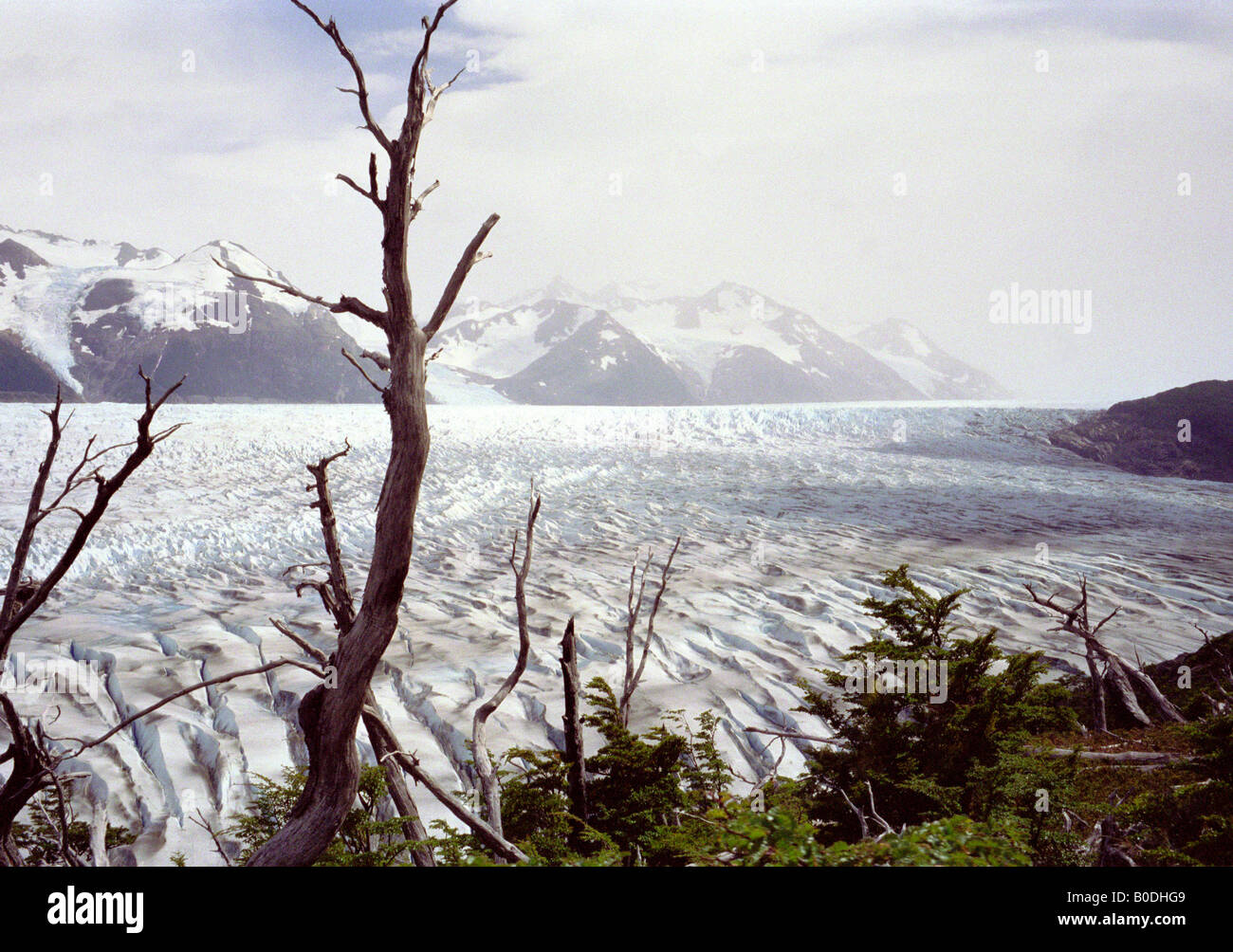 Glaciar grigio, Parco Nazionale Torres del Paine, Cile Foto Stock