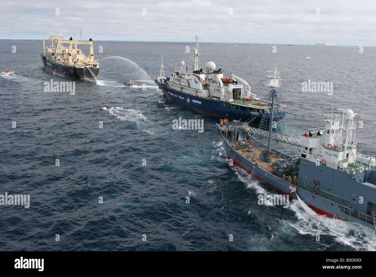 Greenpeace ostacolano il lavoro del giapponese flotta baleniera, Oceano Meridionale, 2005 Foto Stock