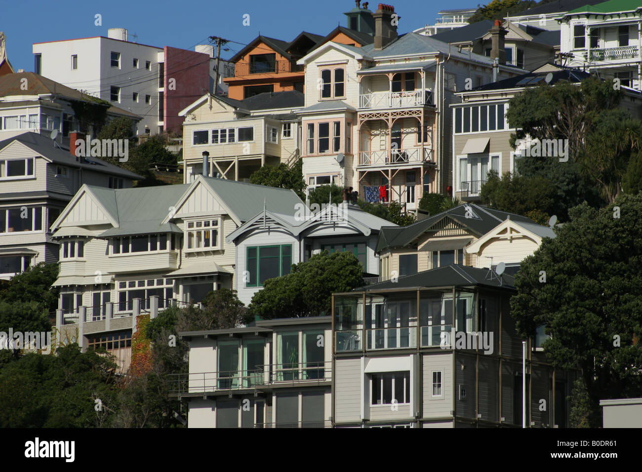 Case su una collina nella città di Wellington. Foto Stock