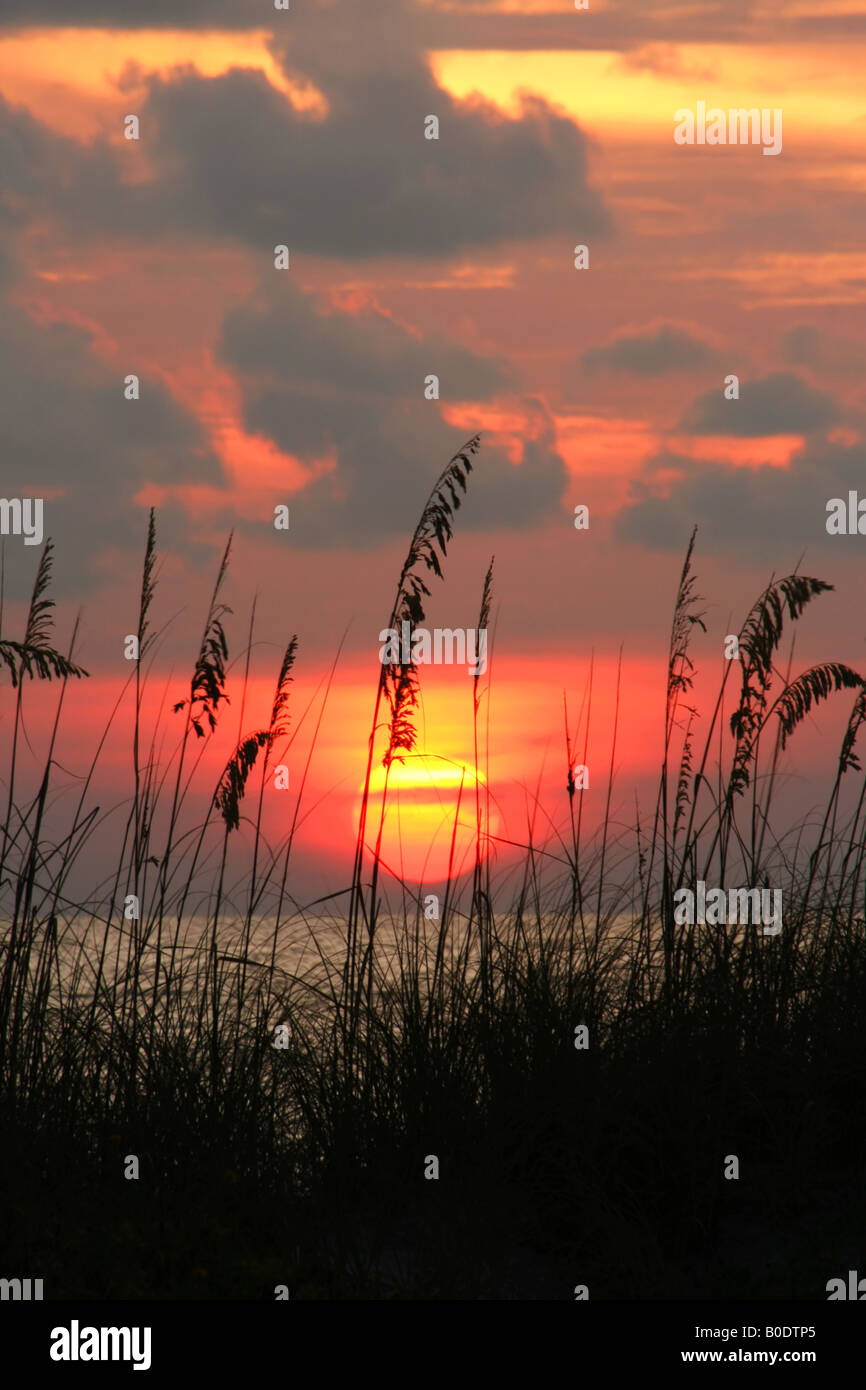 Passare un grill Florida tramonto con seaoats Tampa Bay area Foto Stock