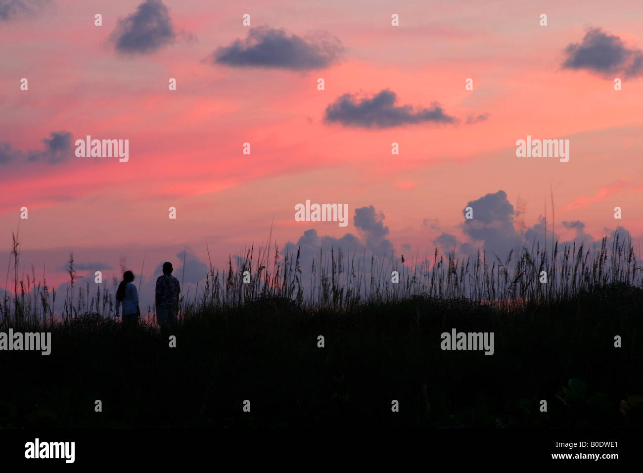 Due persone a guardare il tramonto sulla costa del Golfo della Florida Foto Stock