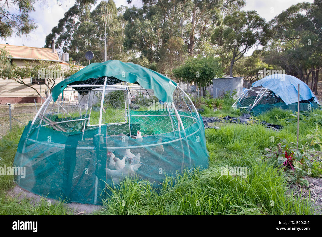 Un pollaio, vegetali di patch e di stagno in una organica, autosufficiente e ecologicamente compatibili permacultura plot. Foto Stock