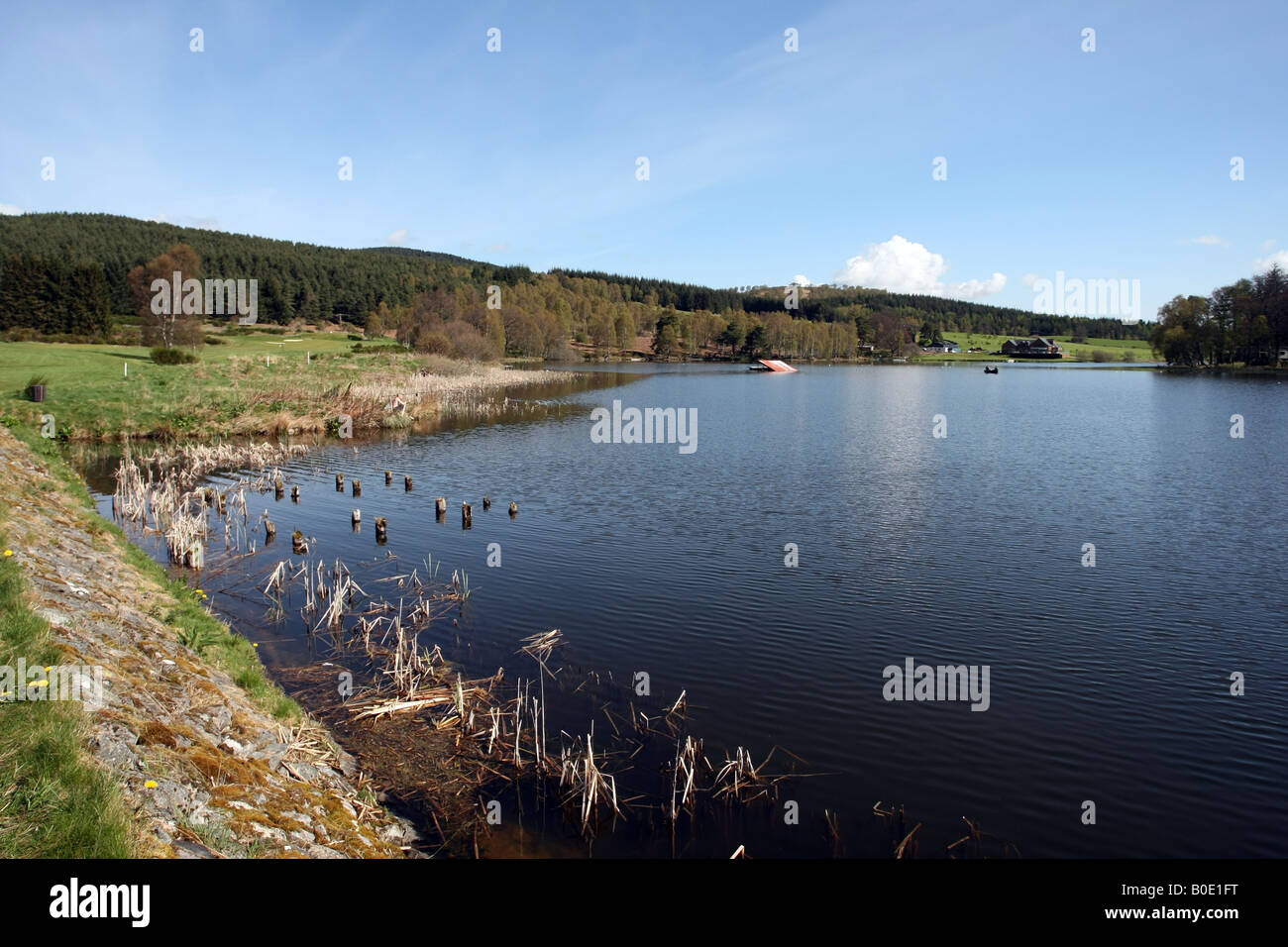 Aboyne Loch vicino a Aboyne, Aberdeenshire, Scotland, Regno Unito Foto Stock